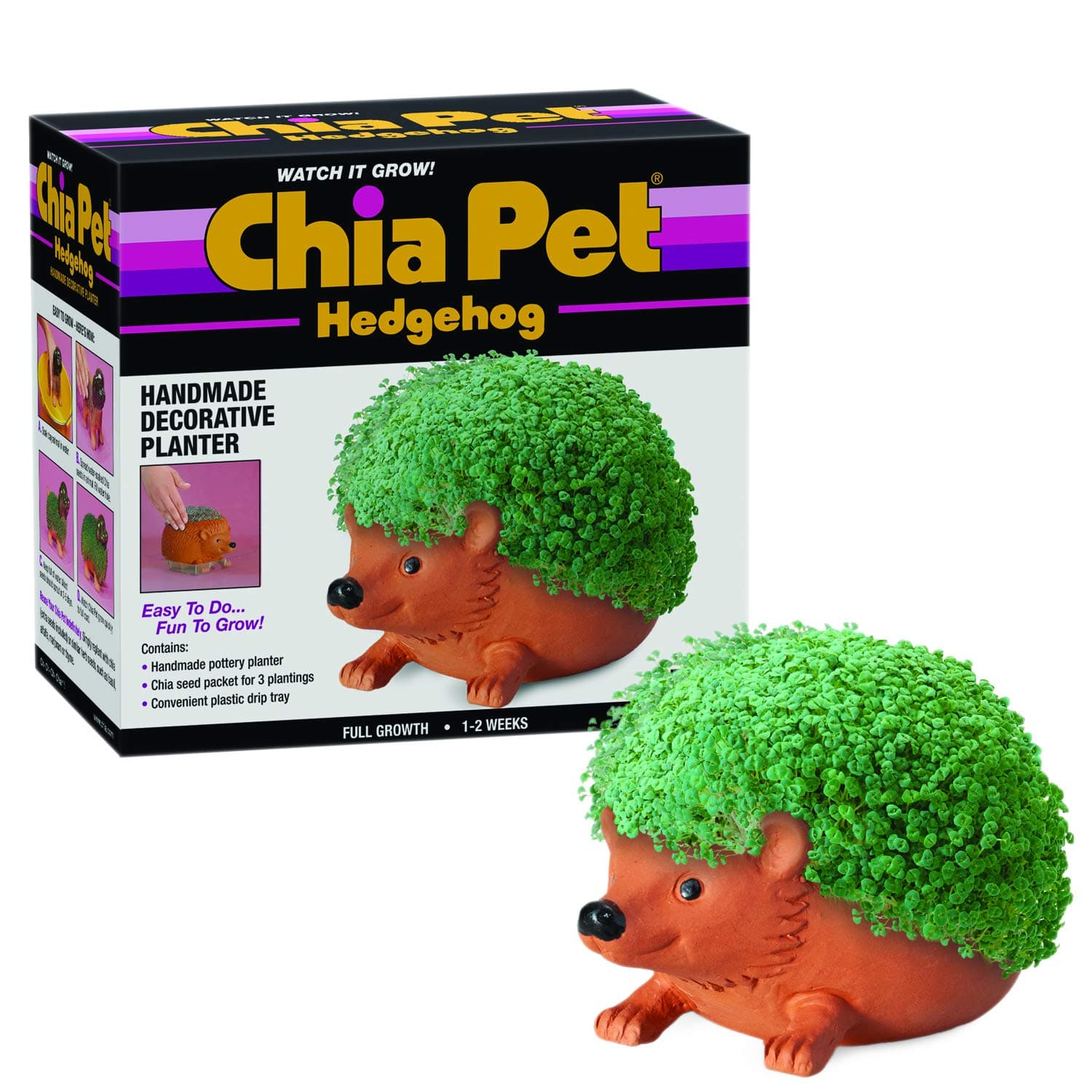 Chia Pet Hedgehog with Seed Pack, Decorative Pottery Planter, Easy to Do and Fun to Grow, Novelty Gift, Perfect for Any Occasion, Terra Cotta