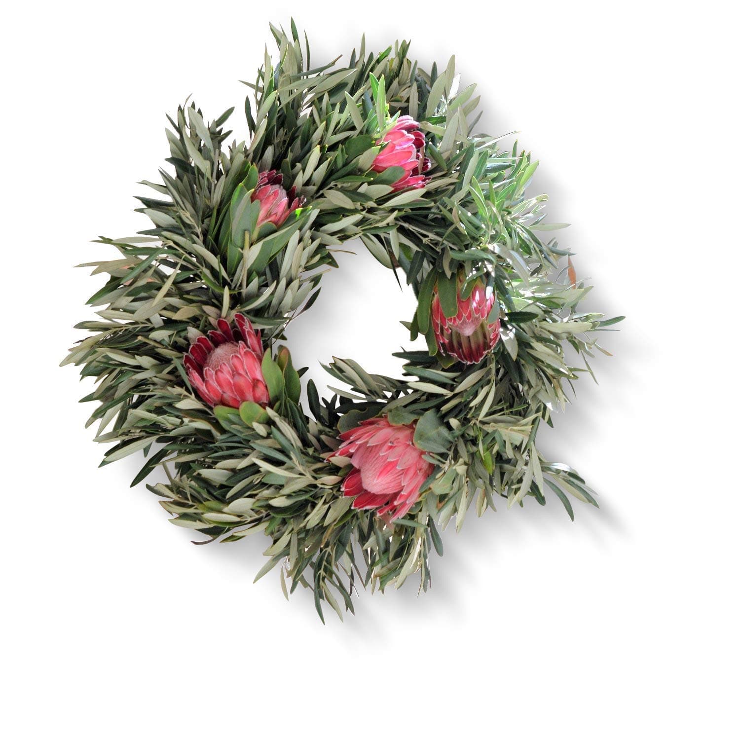 Queen Protea and Olive Wreath - 24 inch