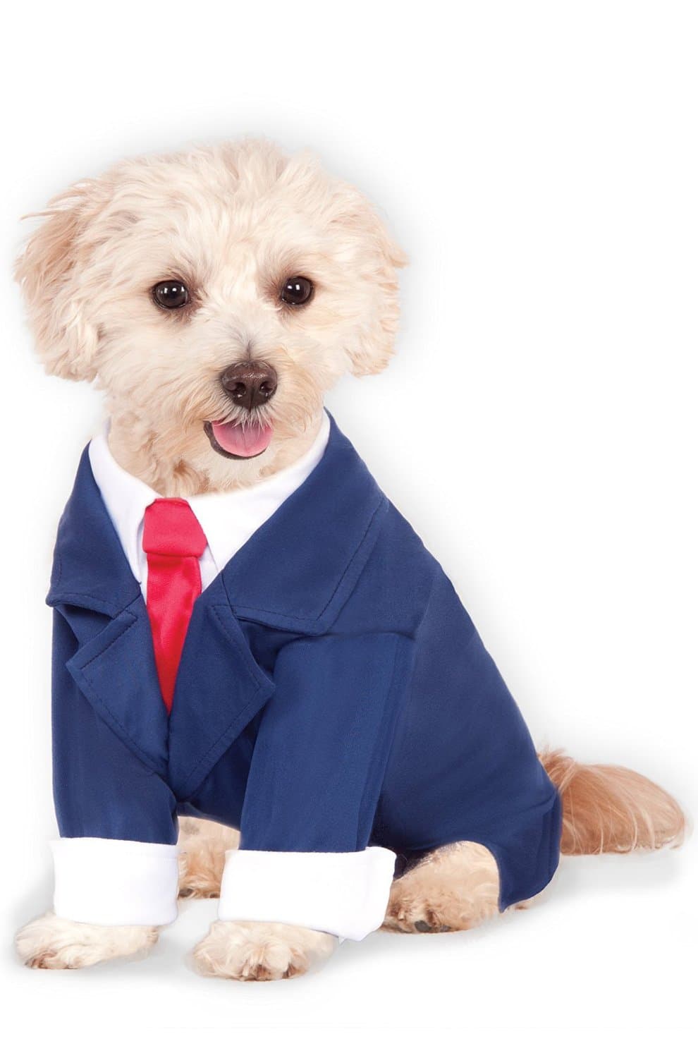 Rubies Business Suit Pet Costume for Dogs or Cats, Medium
