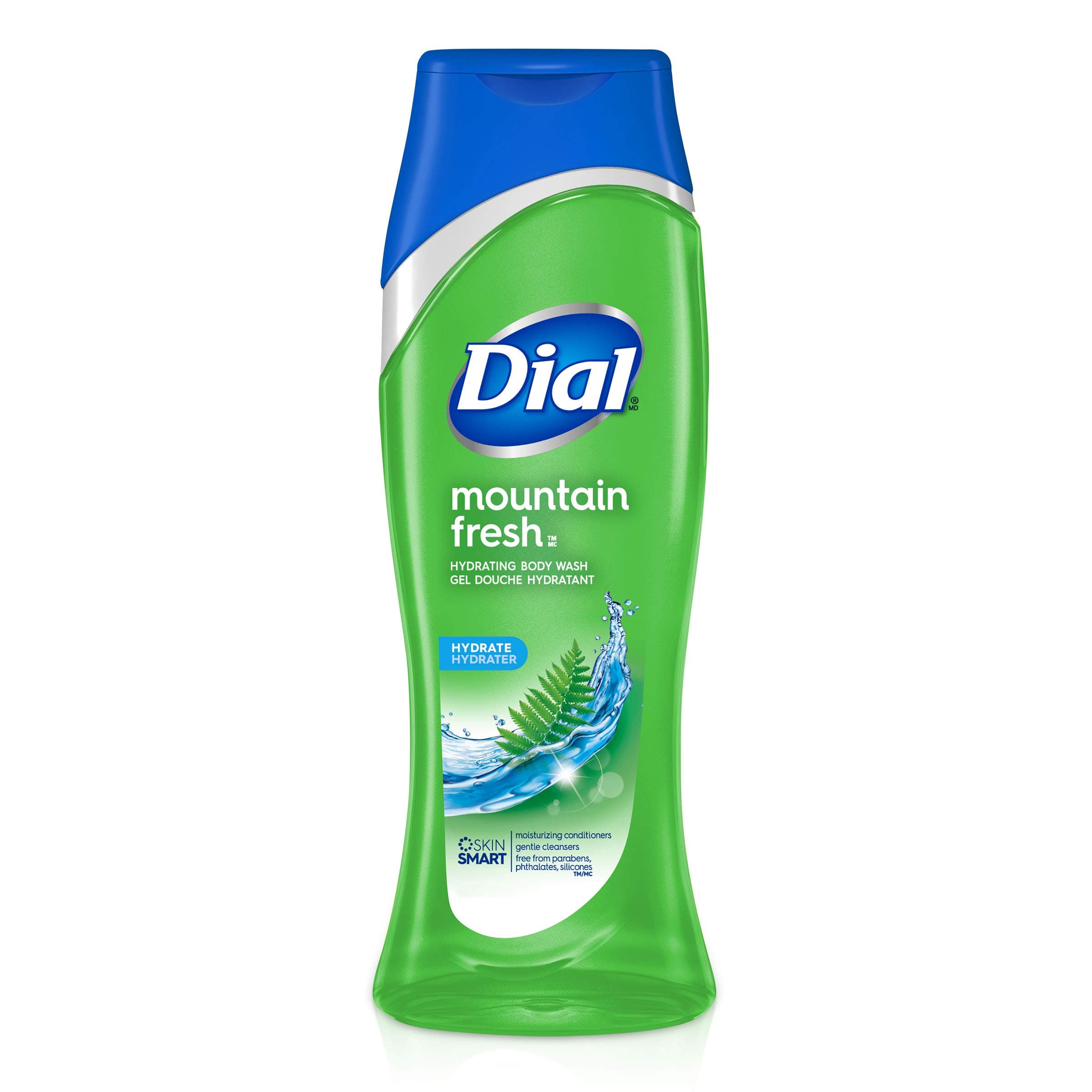 Dial Body Wash, Mountain Fresh, 16 Fl Oz (Pack of 6)