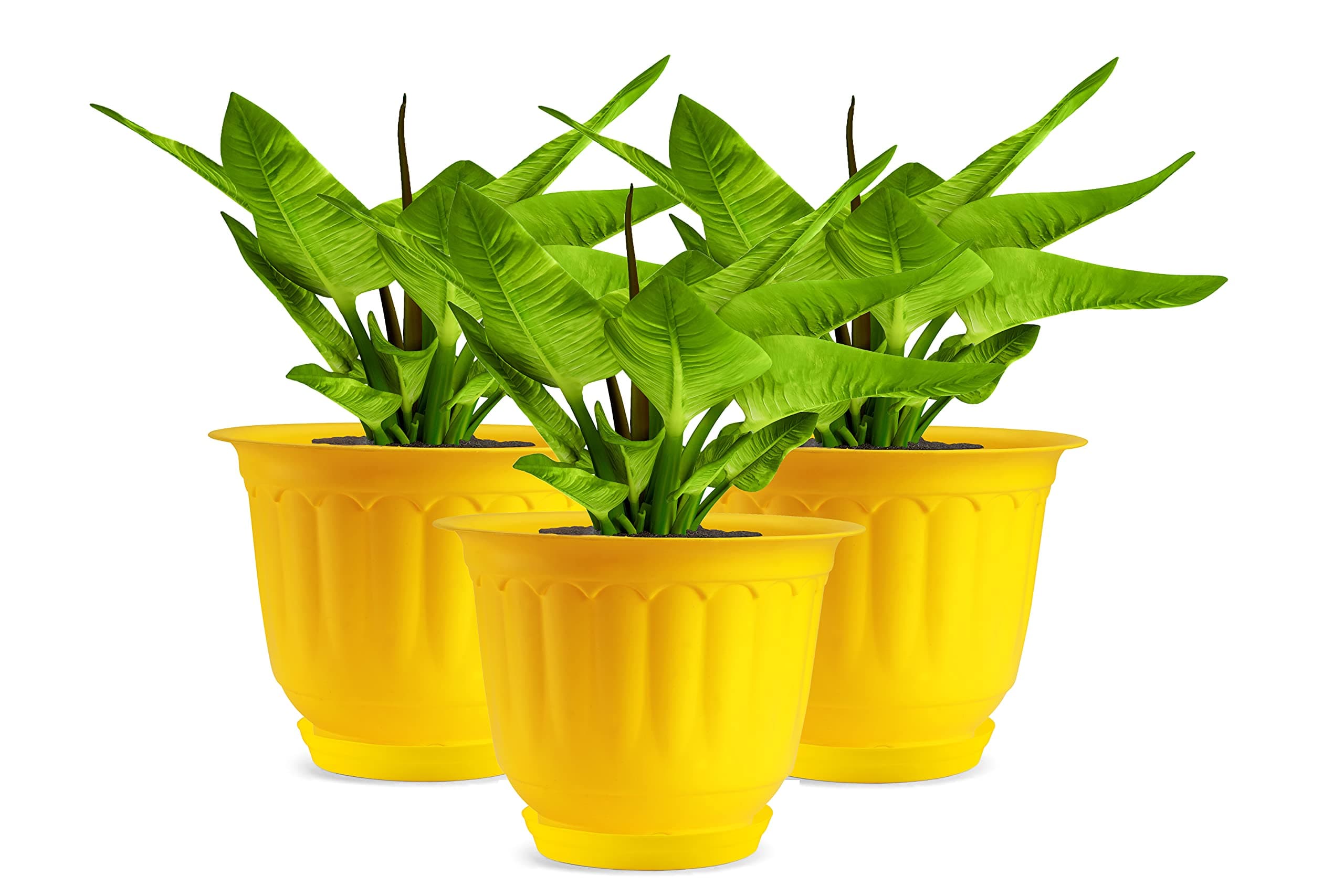 Gardens Need Plastic Jasmine Pot with Bottom Tray Set (10 Inch, Yellow, 3 Pieces)