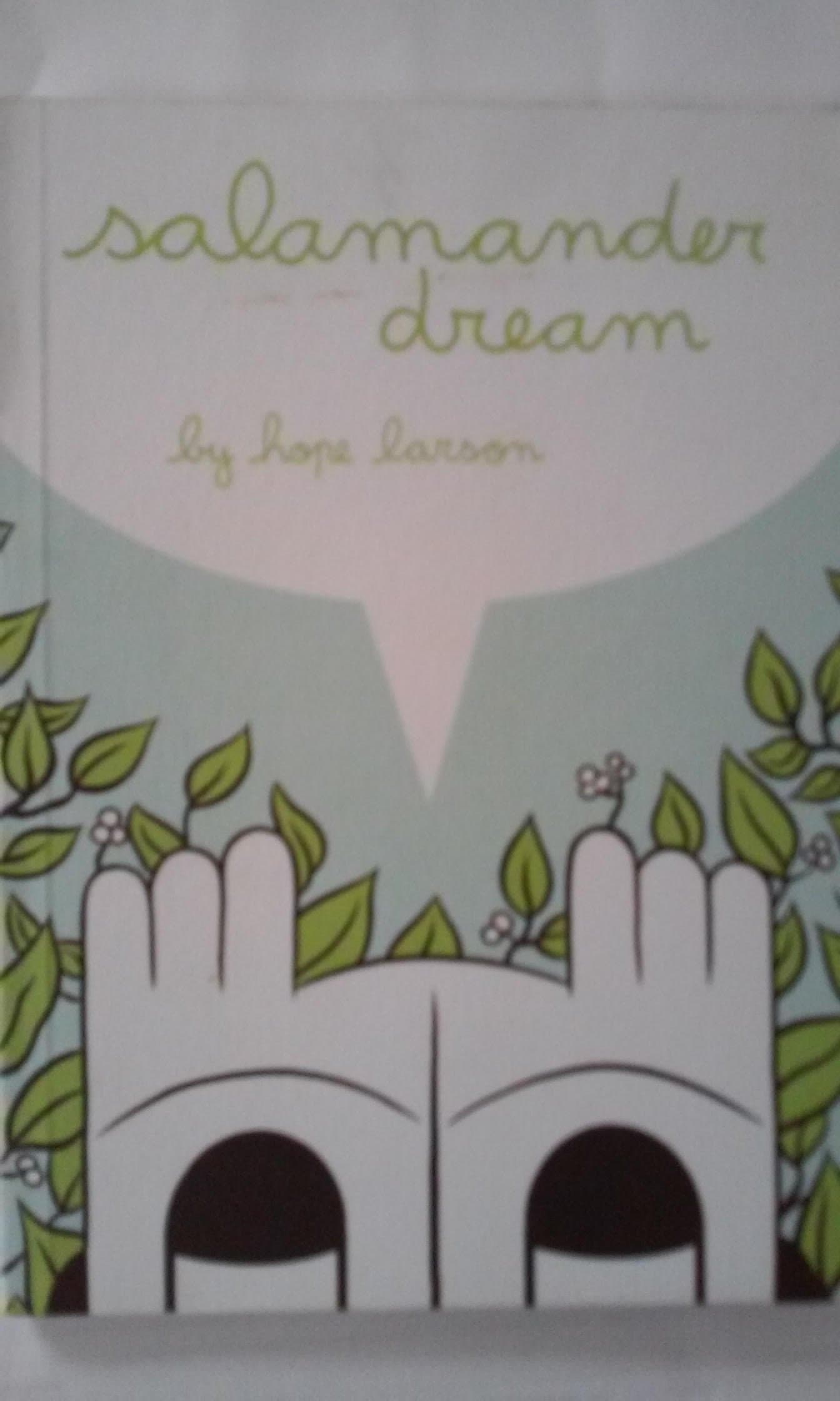 Salamander Dream Paperback – 27 Sept. 2005