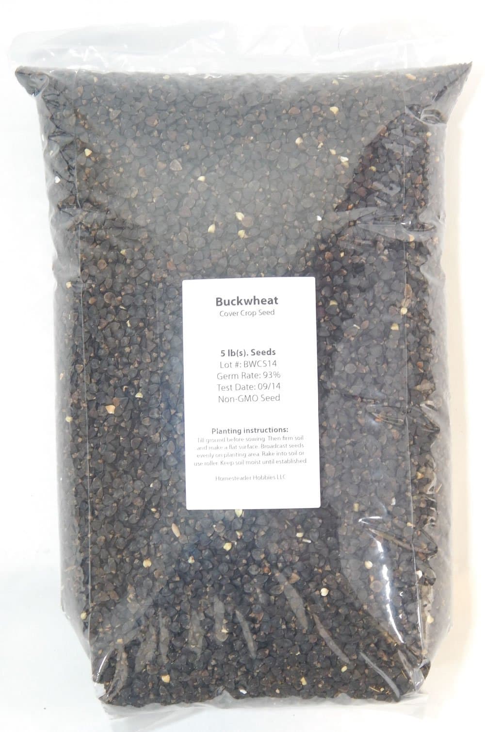 Buckwheat Seeds: Untreated, Non-GMO, 5 lbs.