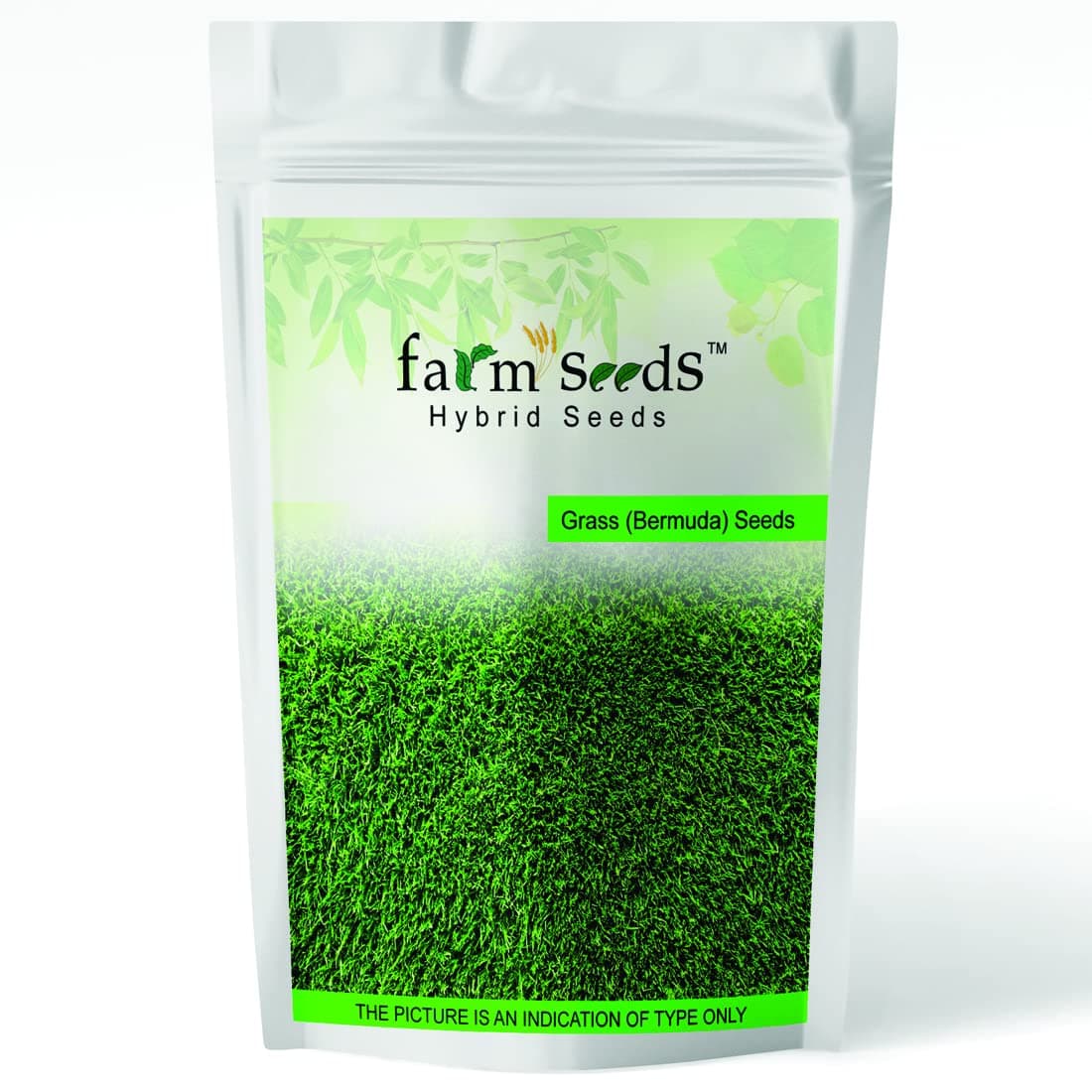 Grass (Bermuda) 500 Grm Seed