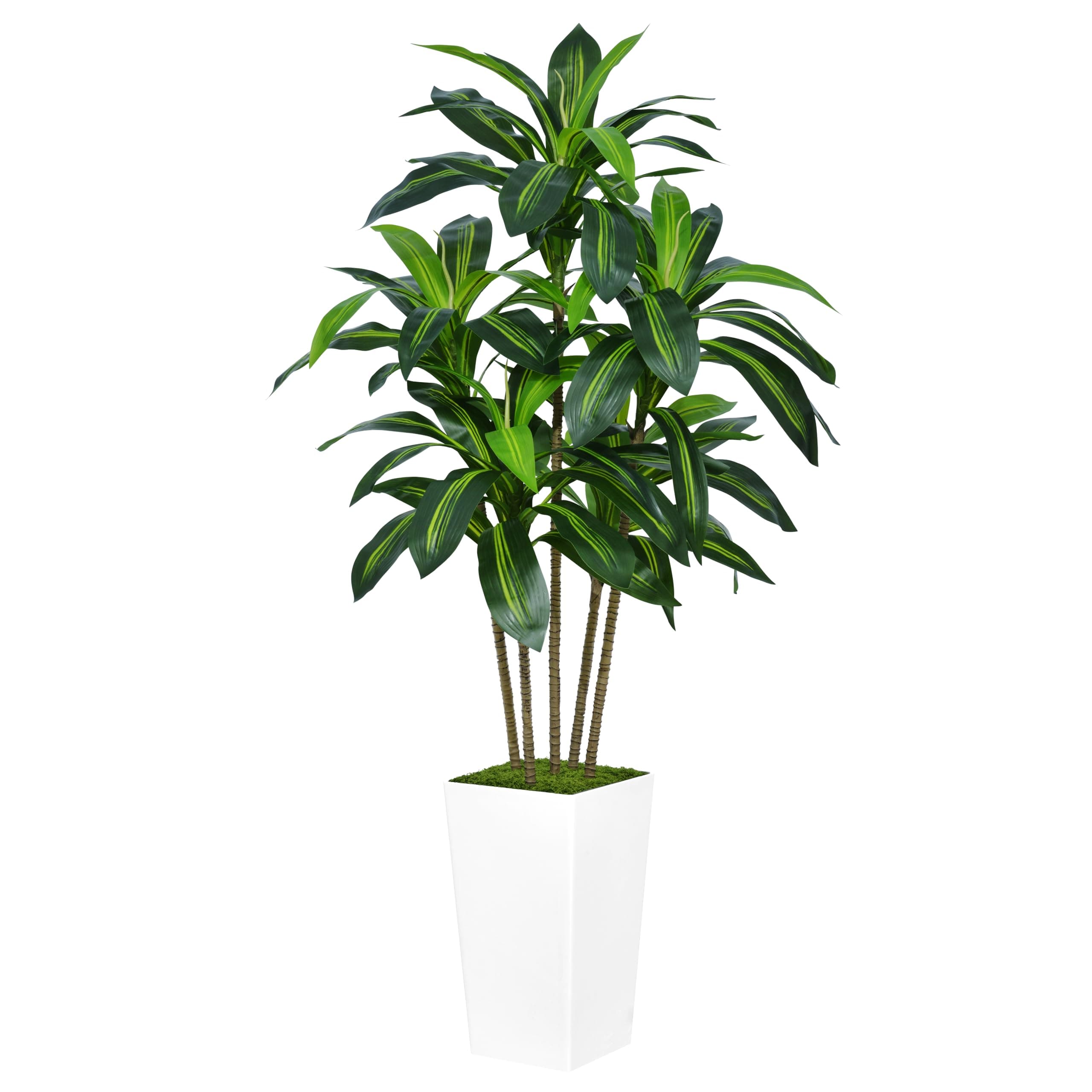 - Artificial Dracaena Tree 5FT - Faux Tree with White Tall Planter - Fake Tropical Yucca Floor Plant in Pot - Artificial Silk Tree for Home Office Living Room Decor Indoor