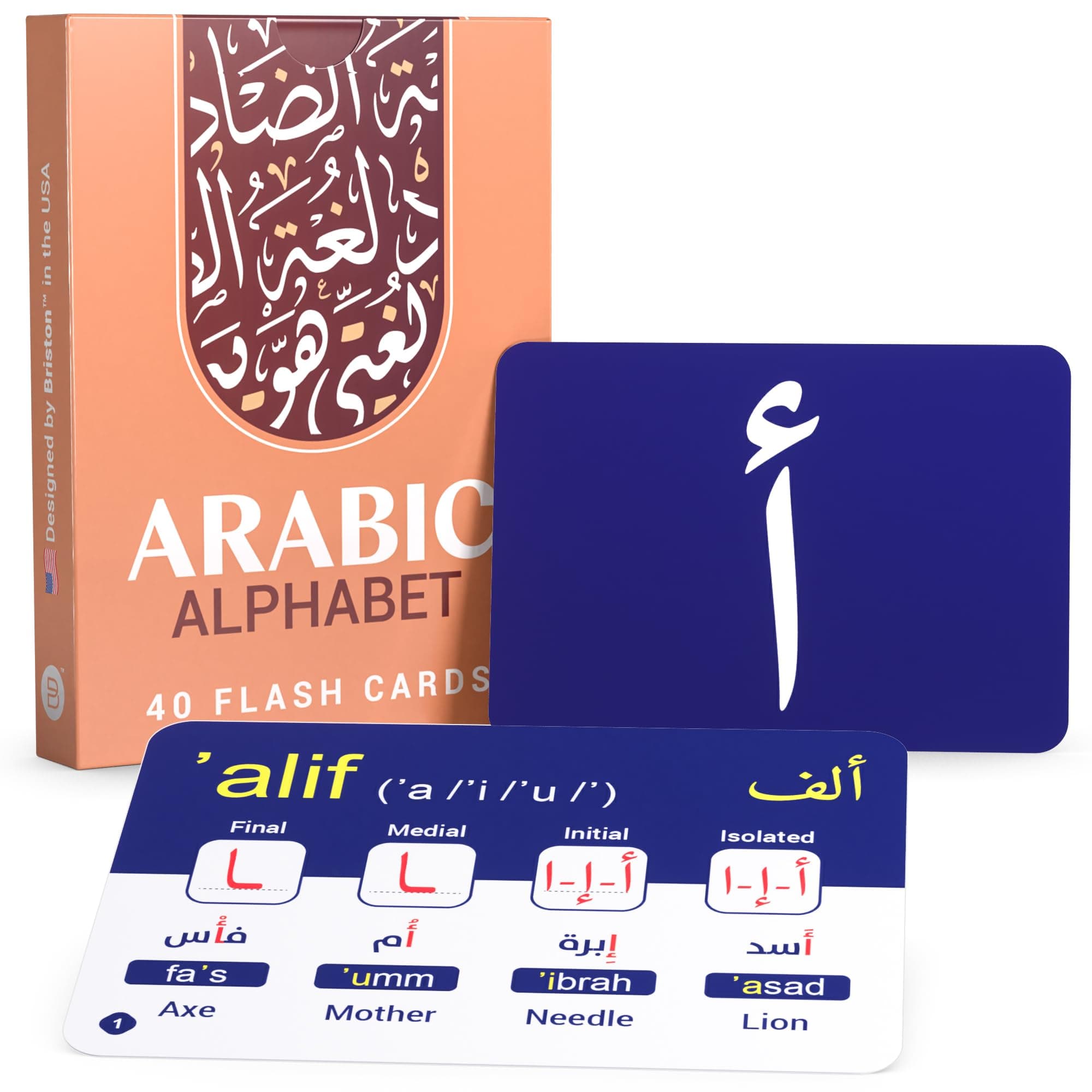 Briston Arabic Alphabet Flash Cards 28 – Educational Language Learning Resource with Pictures for Memory & Sight Words - Fun Game Play - Grade School, Classroom, or Homeschool Supplies – Brand