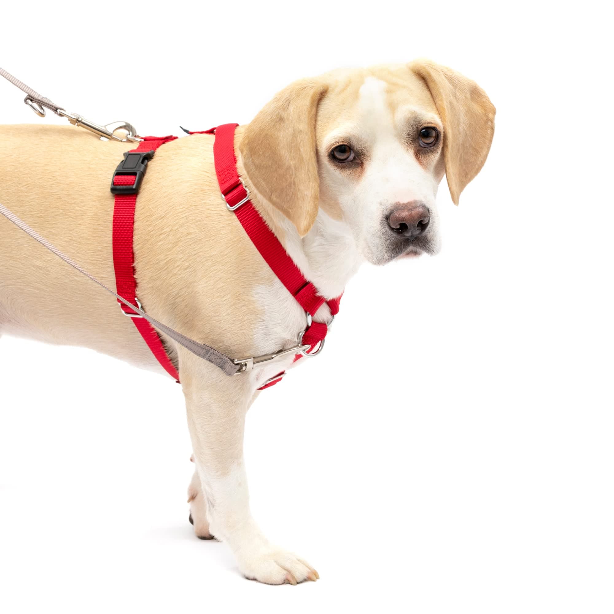 PetSafeSure-Fit Harness, Adjustable Dog Harness, Red, Medium