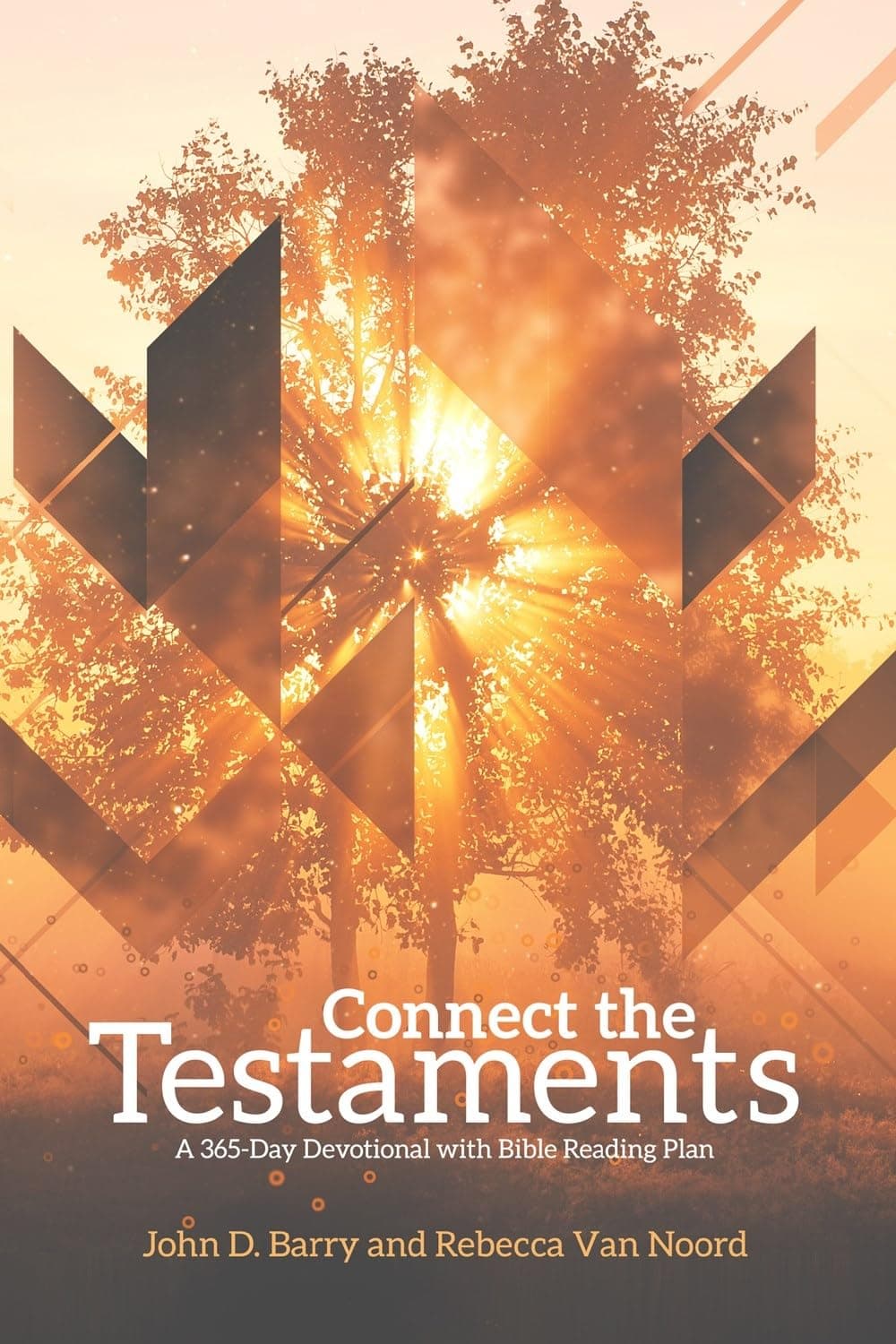 Connect the Testaments: A 365-Day Devotional with Bible Reading Plan