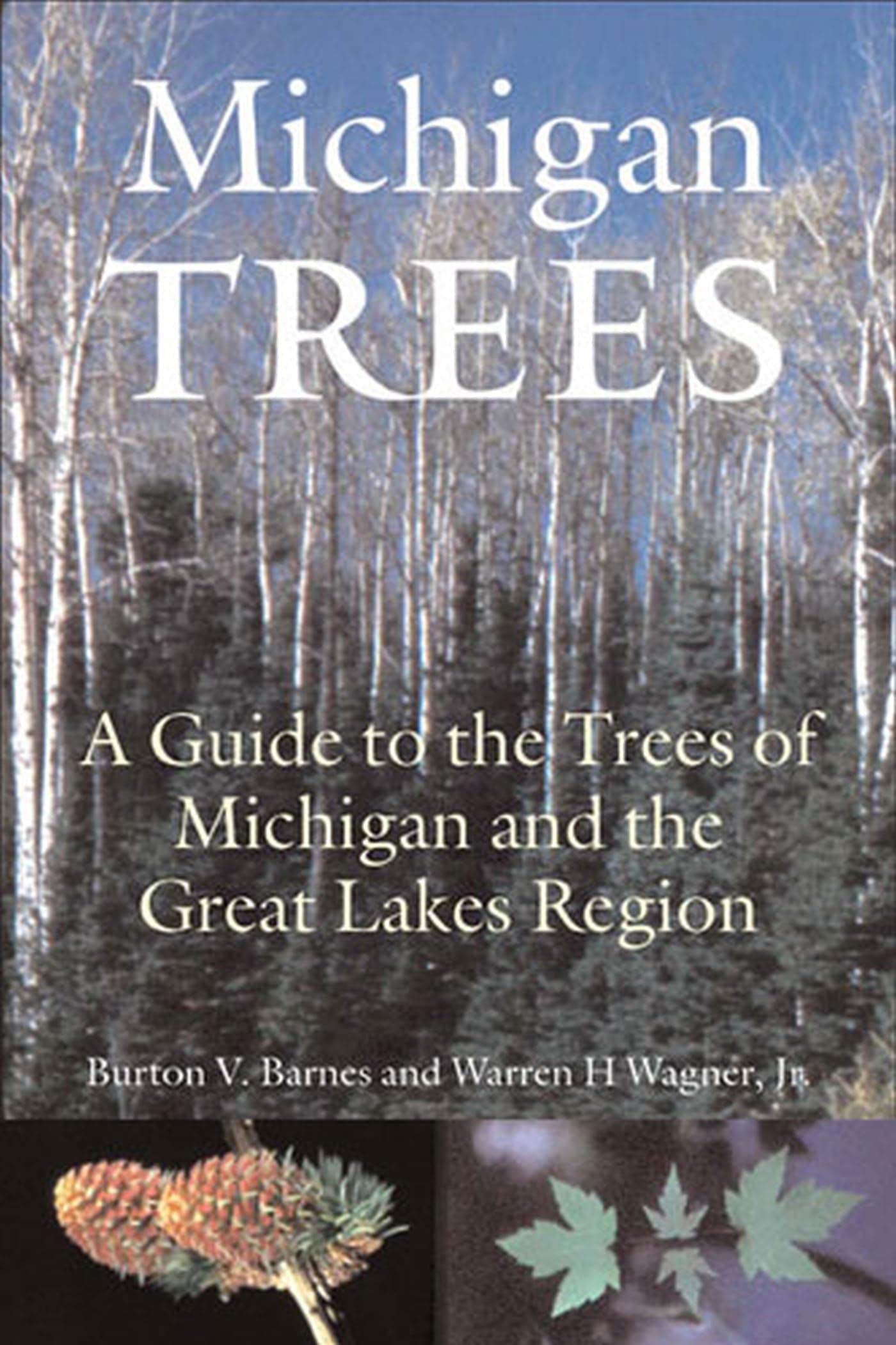 Michigan Trees, Revised and Updated: A Guide to the Trees of the Great Lakes Region Paperback – January 28, 2004