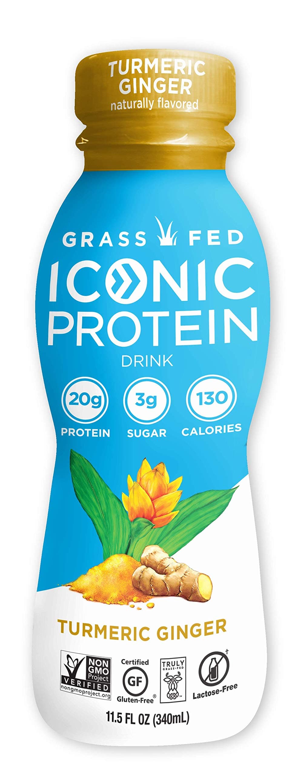 Iconic Protein Drinks, Turmeric Ginger (12 Pack) | Low Calorie, High Protein Shakes | Grass Fed, Lactose Free, Gluten Free, Kosher | Low Carb Snack & Healthy Breakfast Drink | Keto Friendly