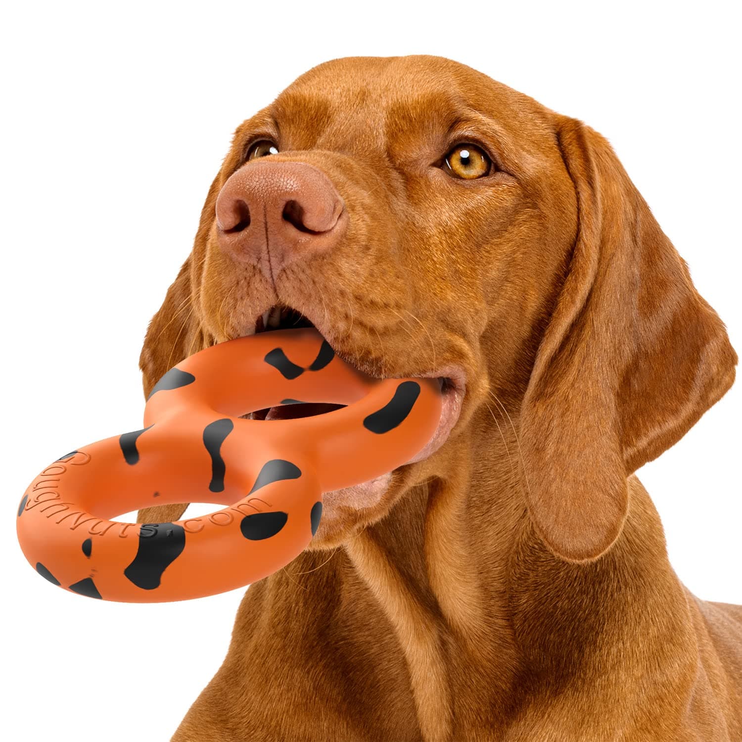 GoughnutsVirtually Indestructible Dog Pull Toy, Durable and Guaranteed for Tug of War with Medium and Large Dogs - Rubber for Aggressive Power Chewers Like Pit Bulls, Labs, and German Shepherds