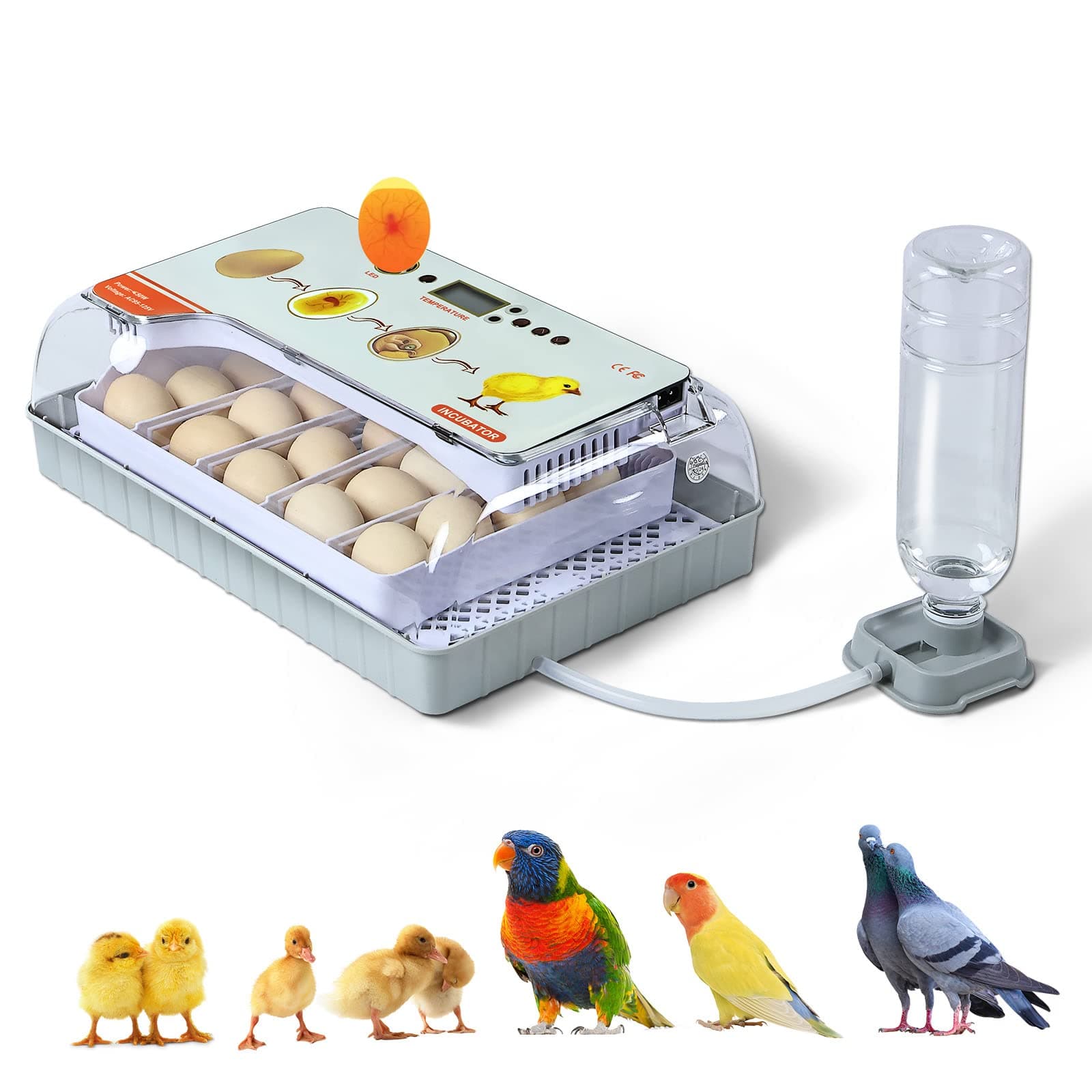 NORJIN 20 Egg Incubator with Automatic Egg Turning & Humidity Control – Chicken Egg Incubator for Hatching Eggs (Duck, Quail, Bird), Auto Water Adding (Bottle Not Included)