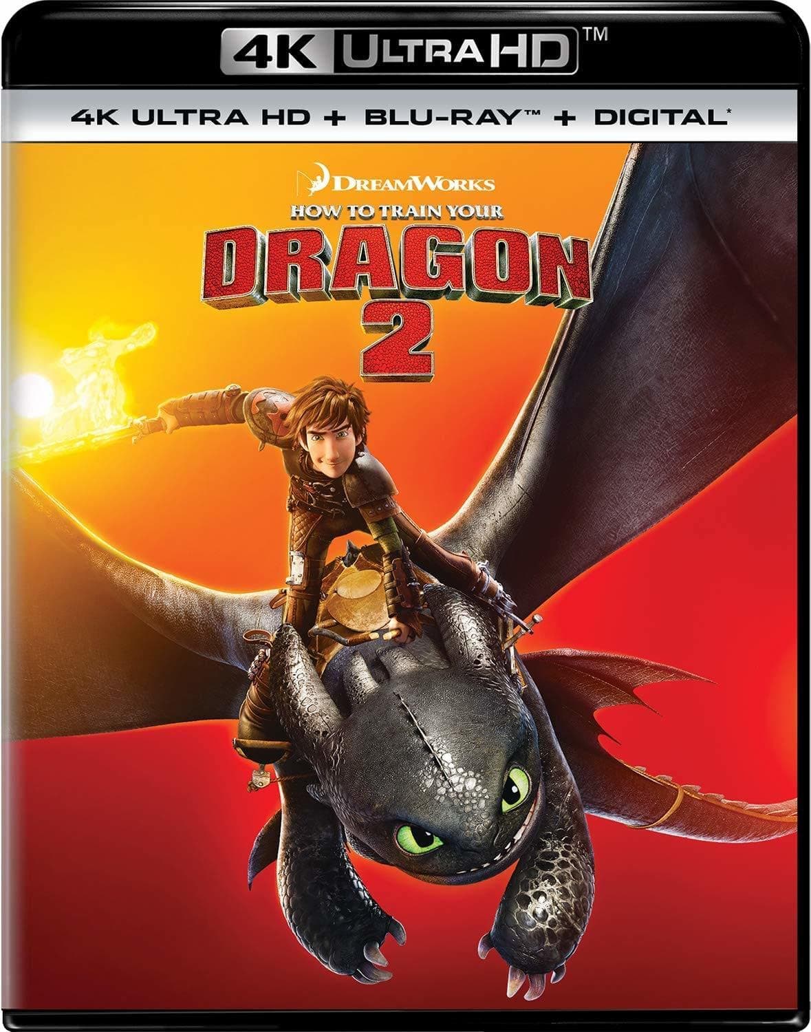 How to Train Your Dragon 2 - 4K Ultra HD + Blu-ray + Digital