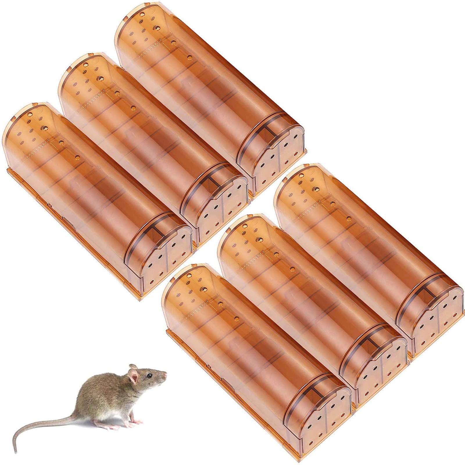Brown mouse traps 6 pack