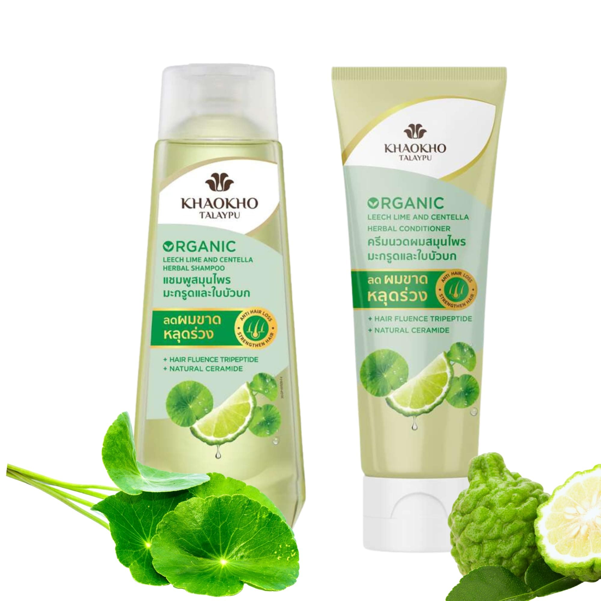 Herbal Shampoo and Conditioner Set with Leech Lime & Centella – Gentle Hair Care for Healthy-Looking Hair, Paraben-, Sulfate- & Silicone-Free, Vegan