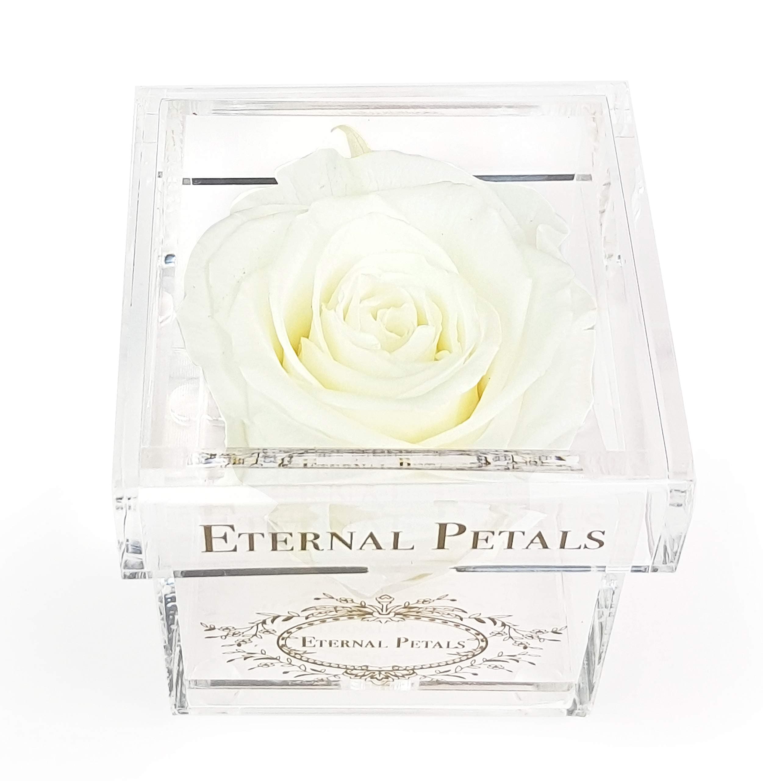 A 100% Real Rose That Lasts A Year - Gold Solo (White)