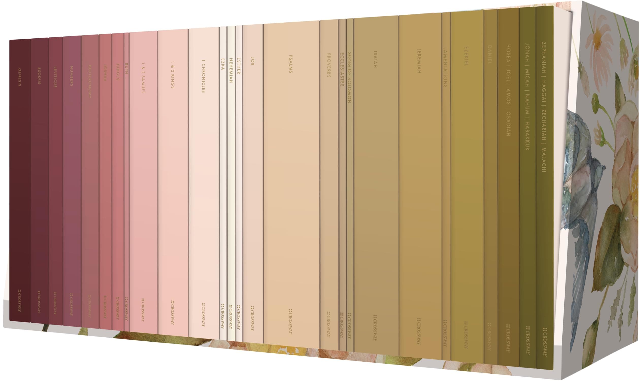 ESV Scripture Journal: Old Testament Set (Artwork by Ruth Chou Simons) (Paperback)