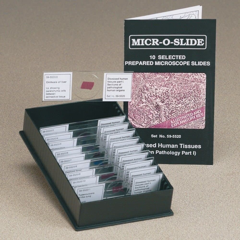 LEIDER Diseased Human Tissues Part 1 Microscopic Glass Specimen Slides