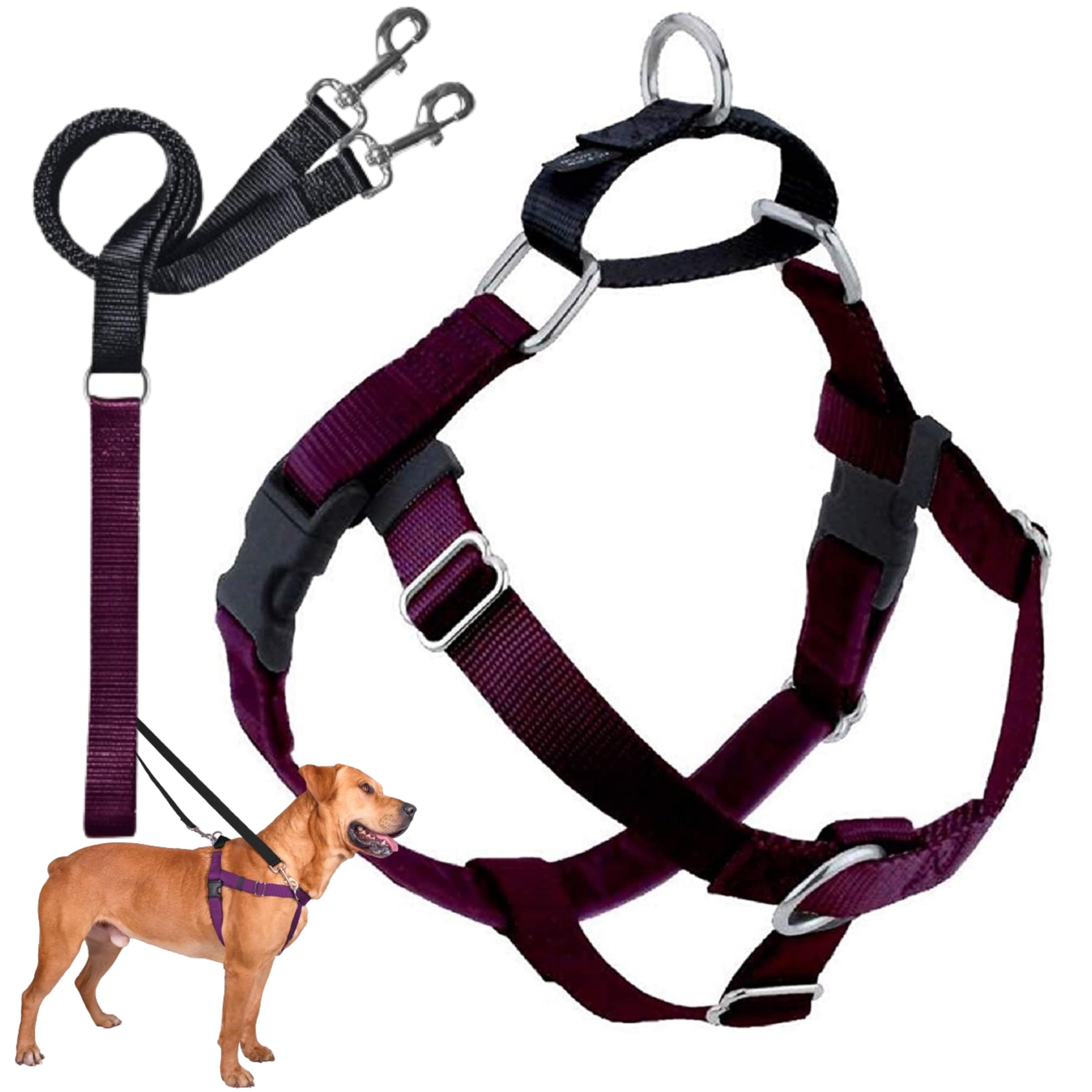 2 Hounds Design Freedom No-Pull Dog Harness with Leash, Medium, 1-Inch Wide, Burgundy