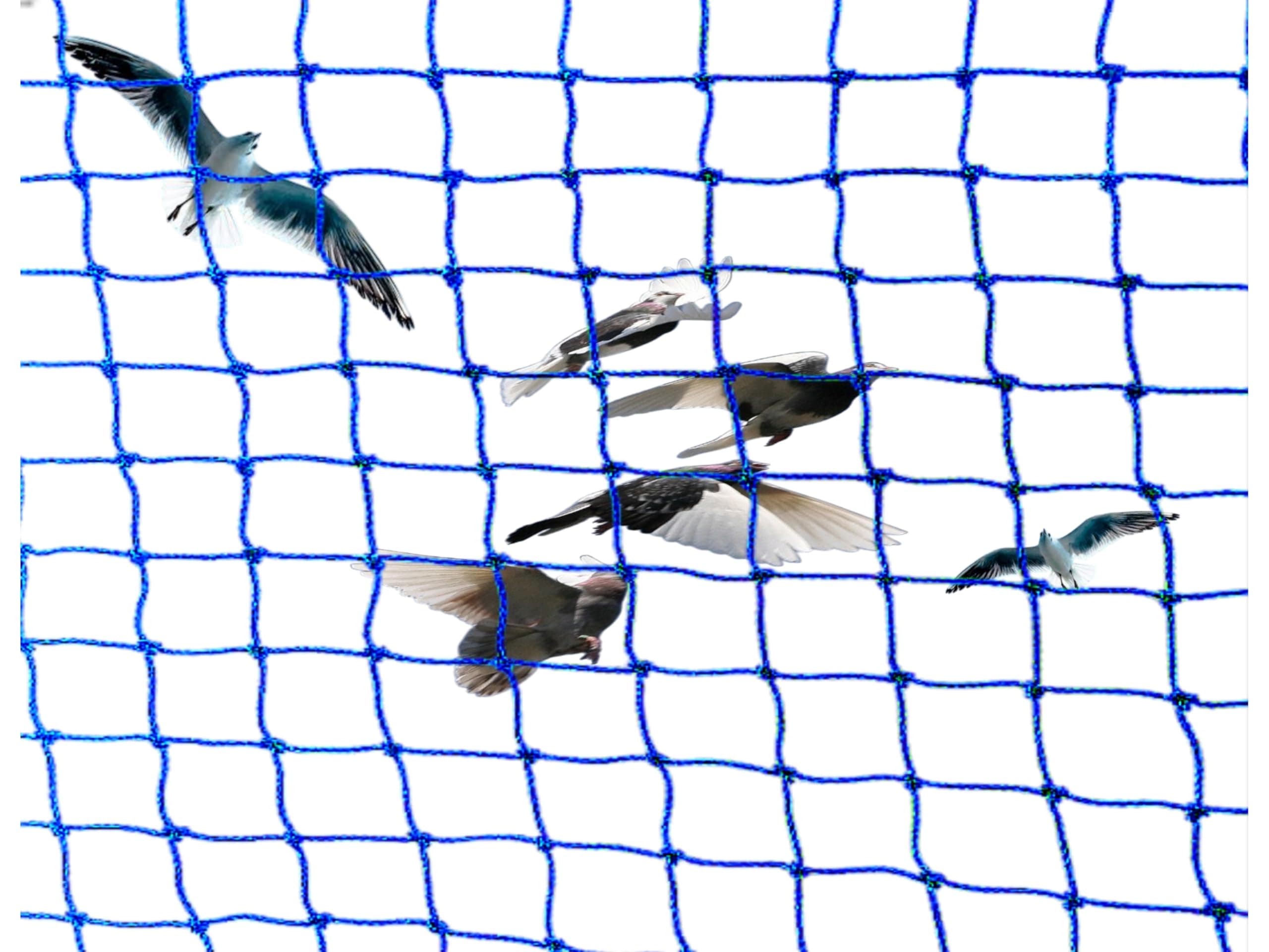 NMK NETS Anti Bird/Pigeon Control net with Cable Ties,Nail Clip Hooks and Attached Rope (15x10 ft Green)