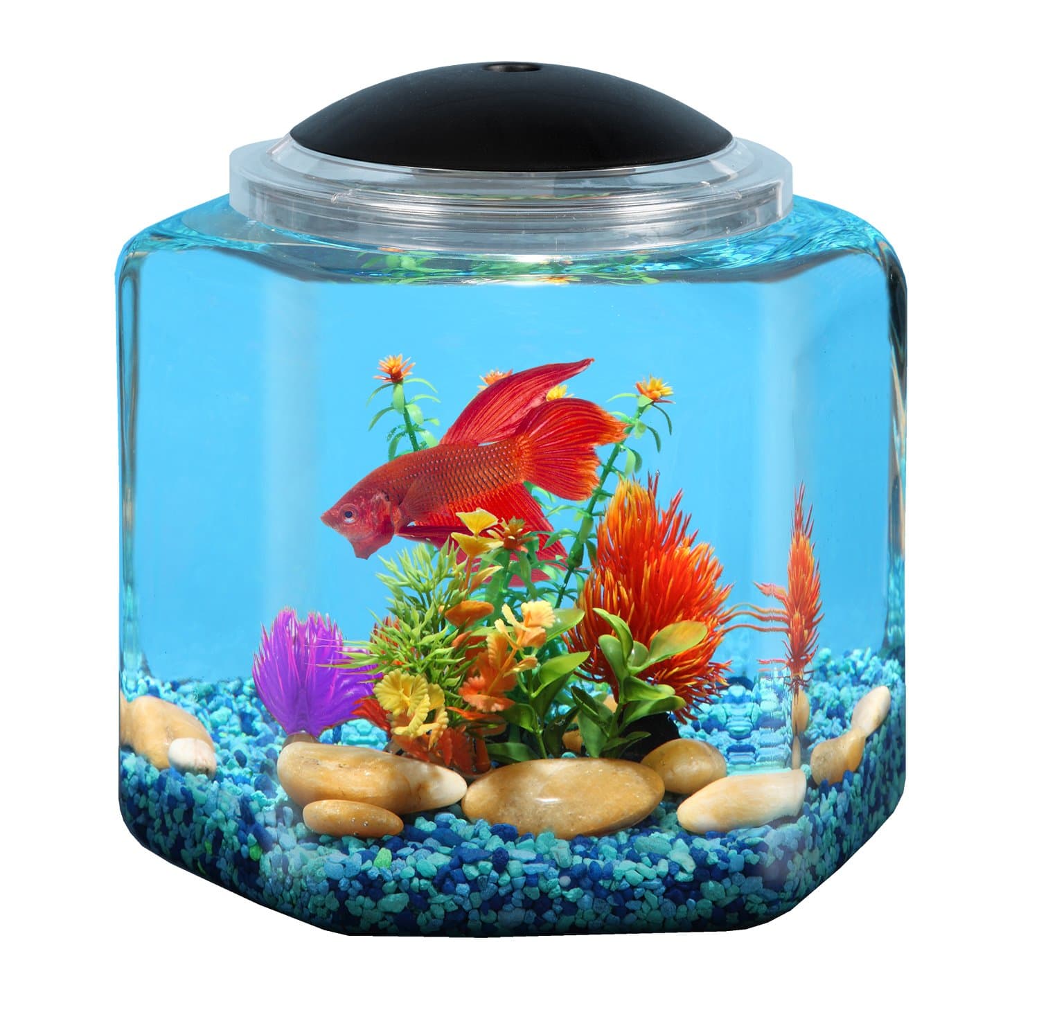 API Betta Kit Hex Fish Tank, 2 Gallon