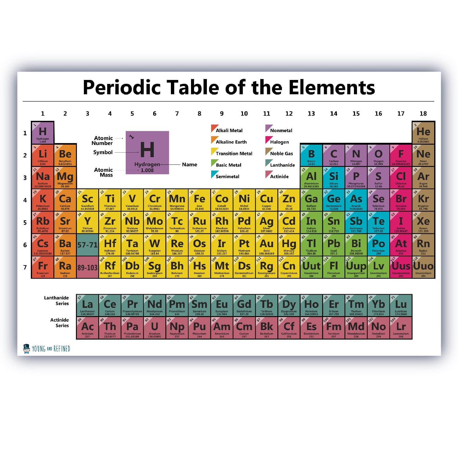 Periodic table science poster XL EXTRA LARGE (36x54) plastic chart teaching white elements classroom decoration jumbo big premium educators atomic number guide 2025 up to date Young N Refined