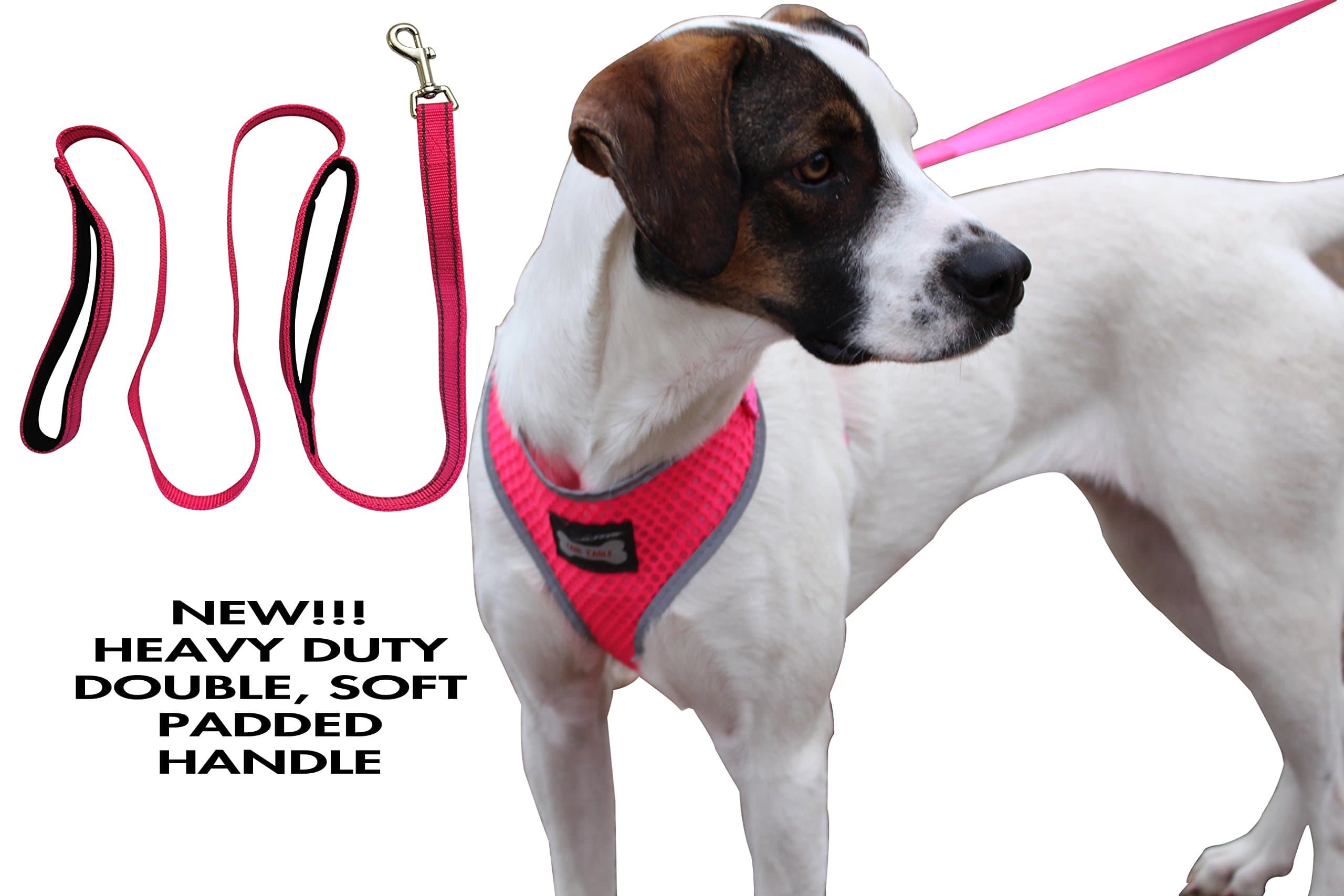 Reflective Adjustable Soft Mesh Pet Dog Harness with Leash (XL, Neon Rosary