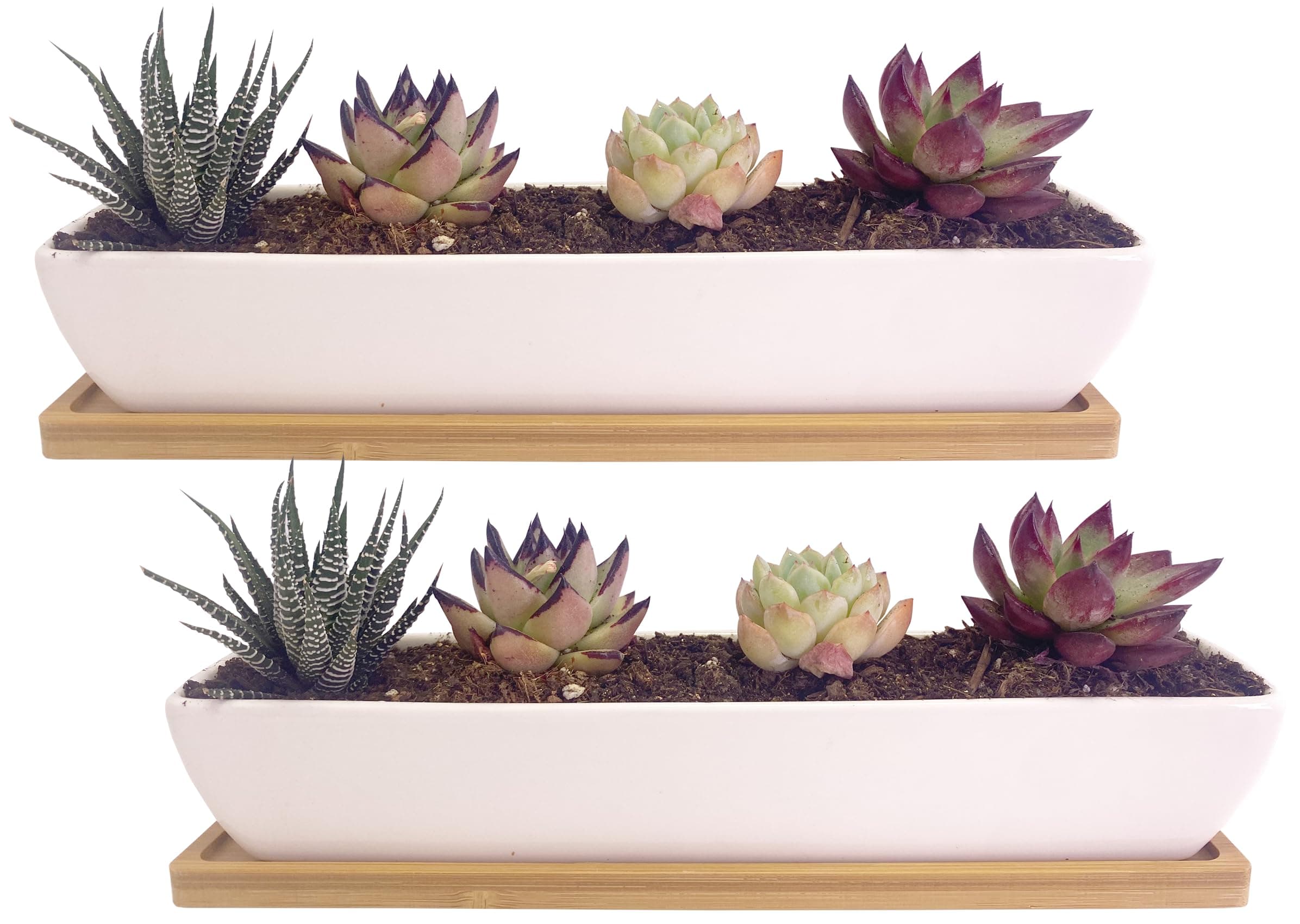 2 pcs 11.1 inch Long Rectangle White Ceramic Succulent Planter Pots/Mini Flower Plant Containers with Bamboo Saucers Plant Window Boxes for Office/Home, 11 x2.28x1.73inch