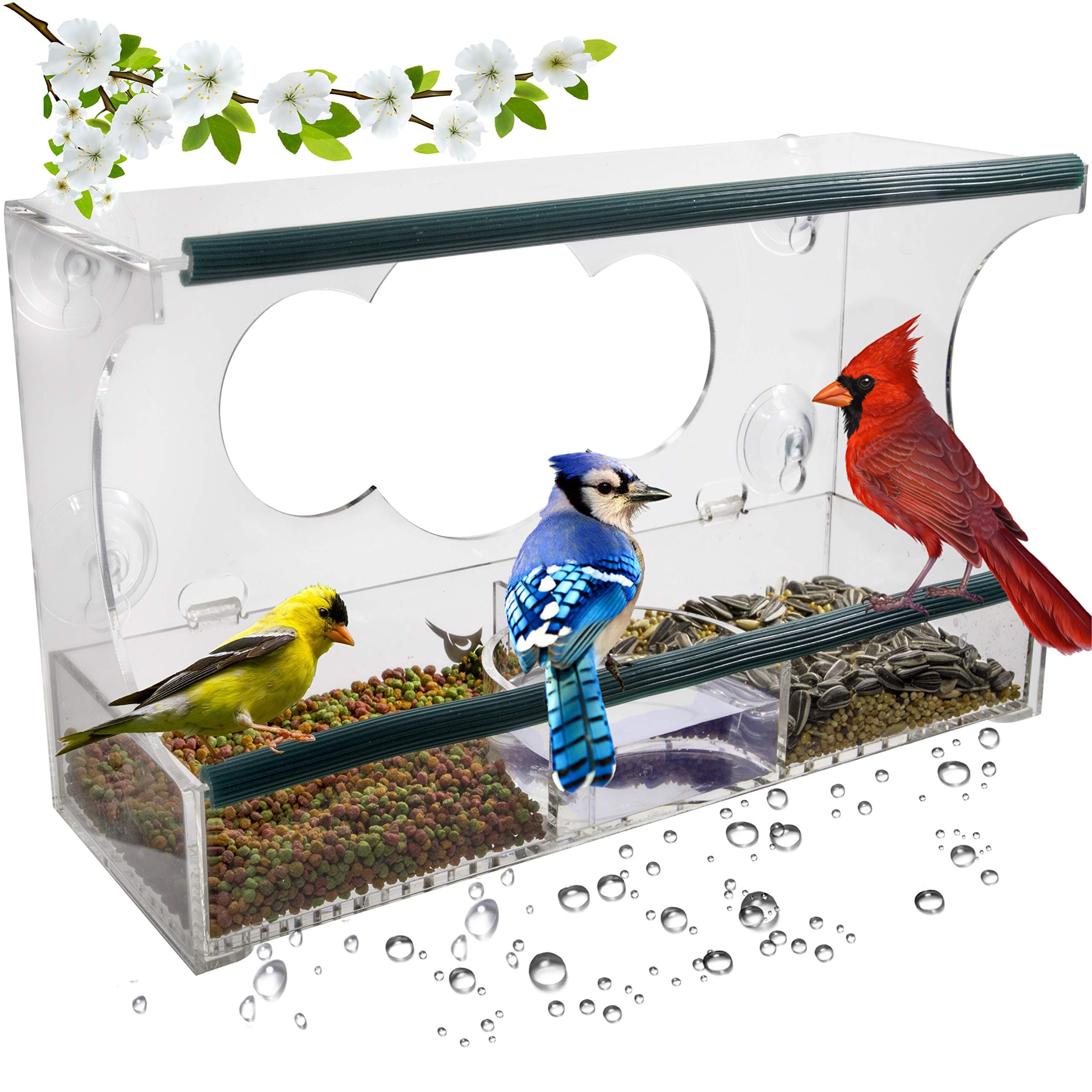 Birdious Deluxe Window Bird Feeder: Strong Suction Cups Outside Mount, Large Clear See-Through Birdfeeder House and Removable Tray. Best Birding Gift Idea