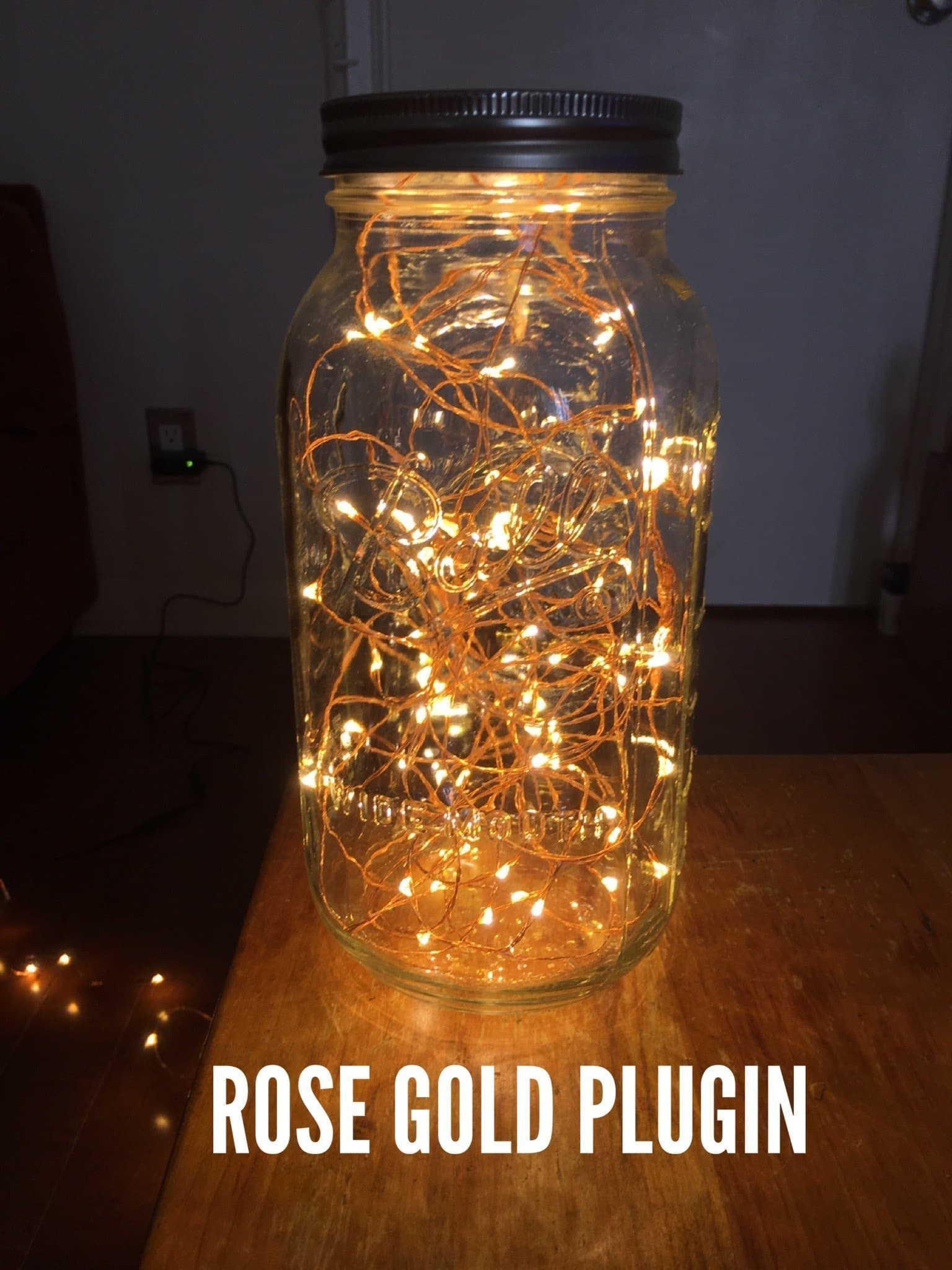 Rose Gold Wire with Plug, Mason FireFly Lights with Craft clips - Free Shipping!