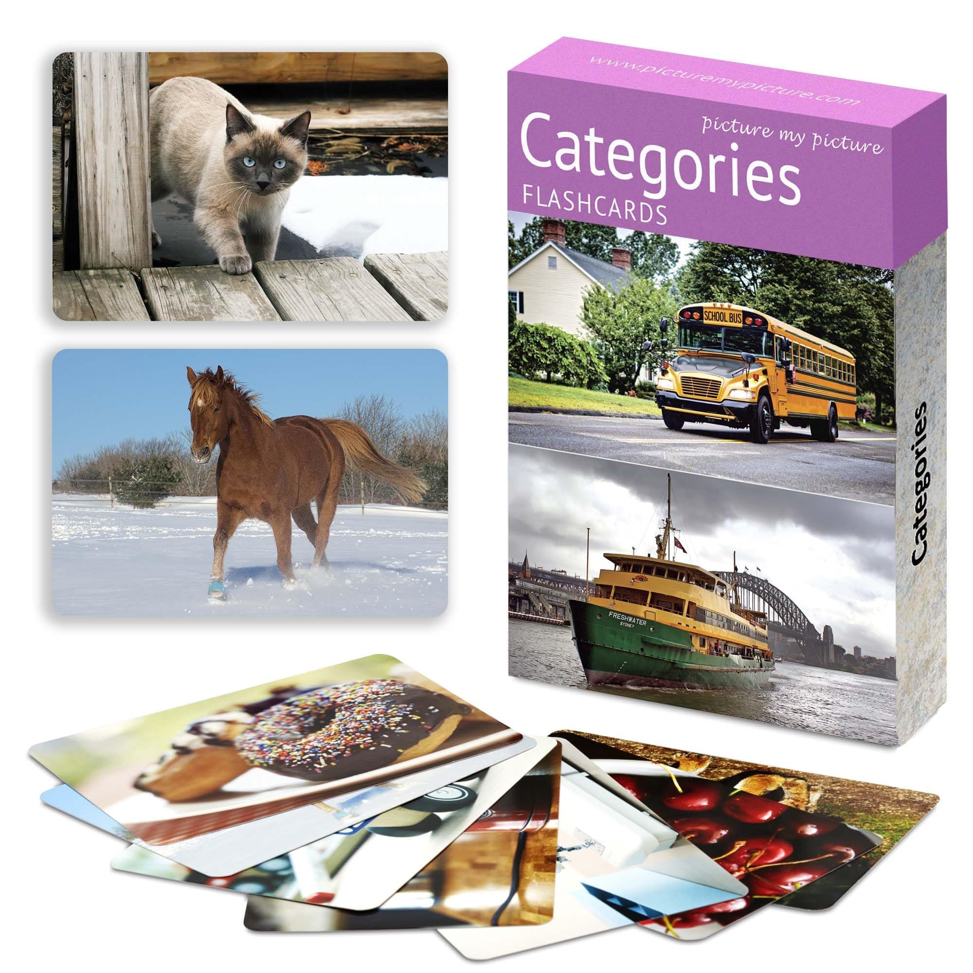 Categories Flashcards