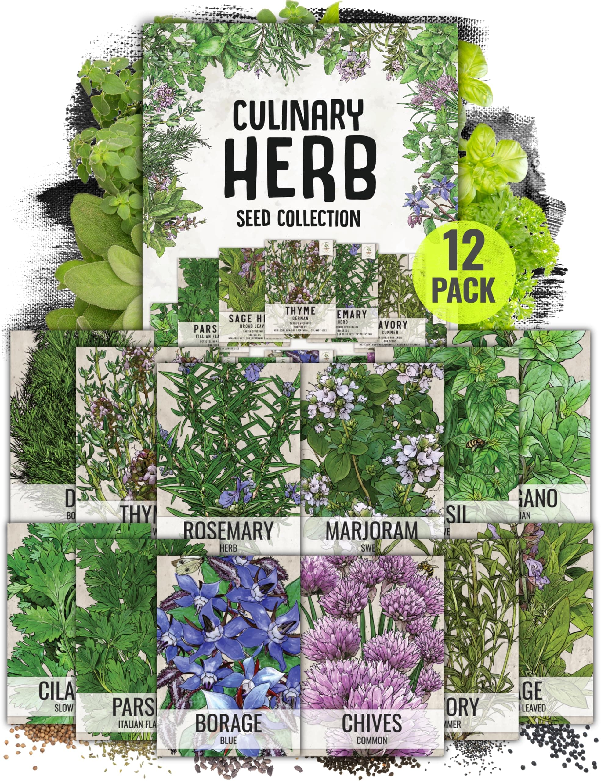 Herb Seeds Variety Pack Culinary Herb Collection (12 Individual Packets for Planting Indoors or Outdoors) Grow Your Own Herb Garden - Heirloom, Non-GMO