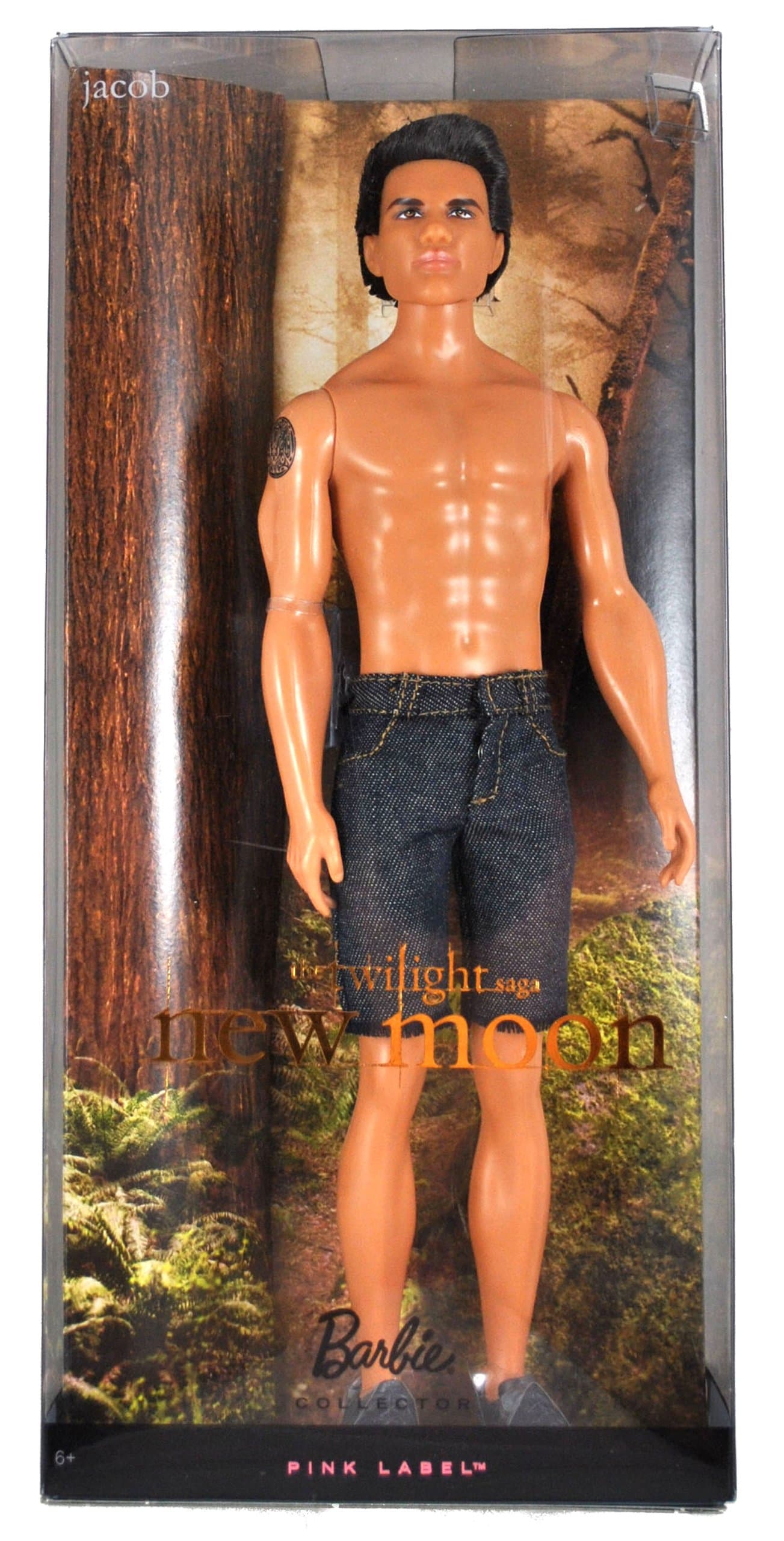 Barbie Collector Twilight Jacob Doll
