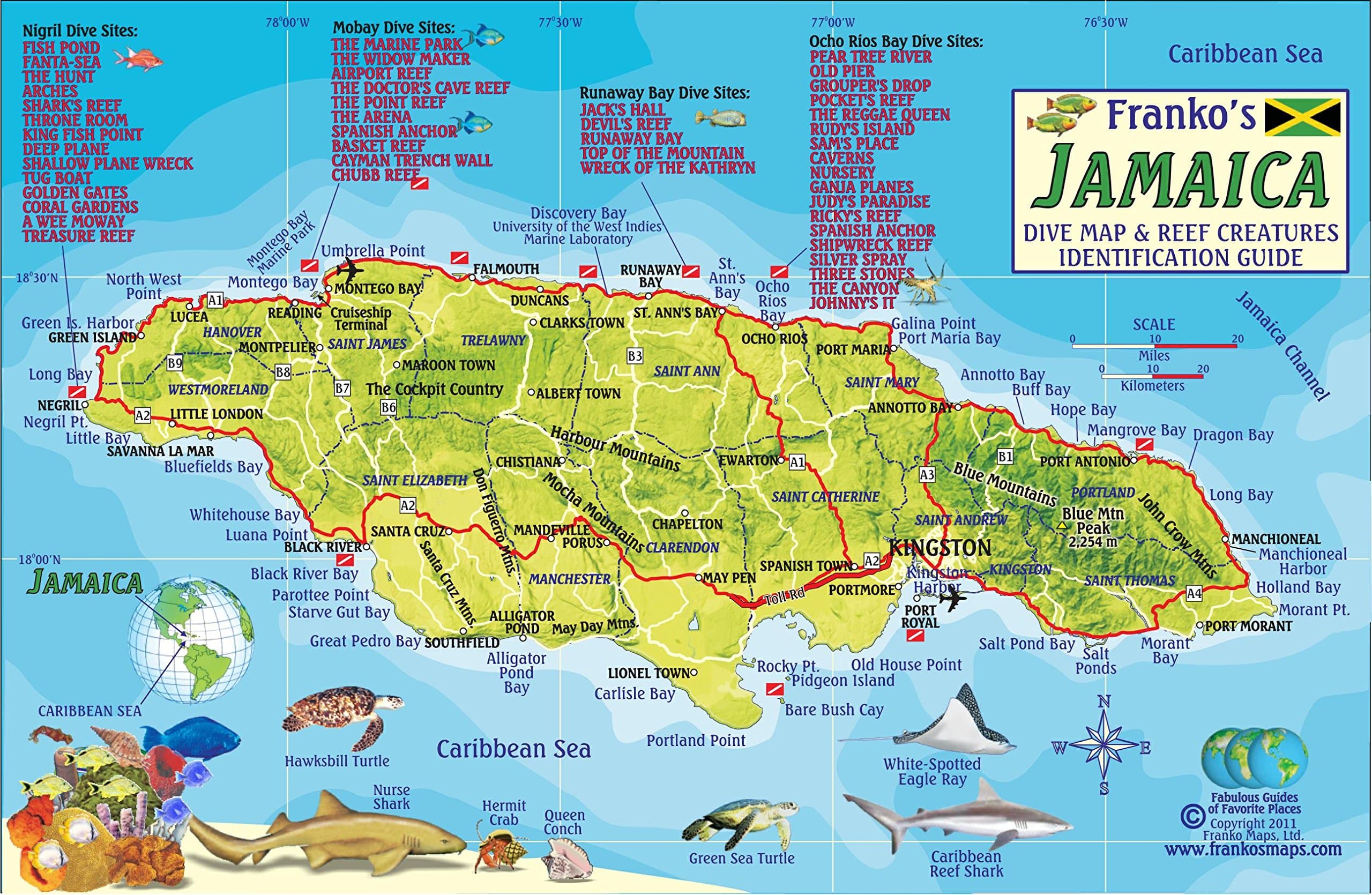 Jamaica Dive Map & Coral Reef Creatures Guide Franko Maps Laminated Fish Card Map – 1 Jan. 1617