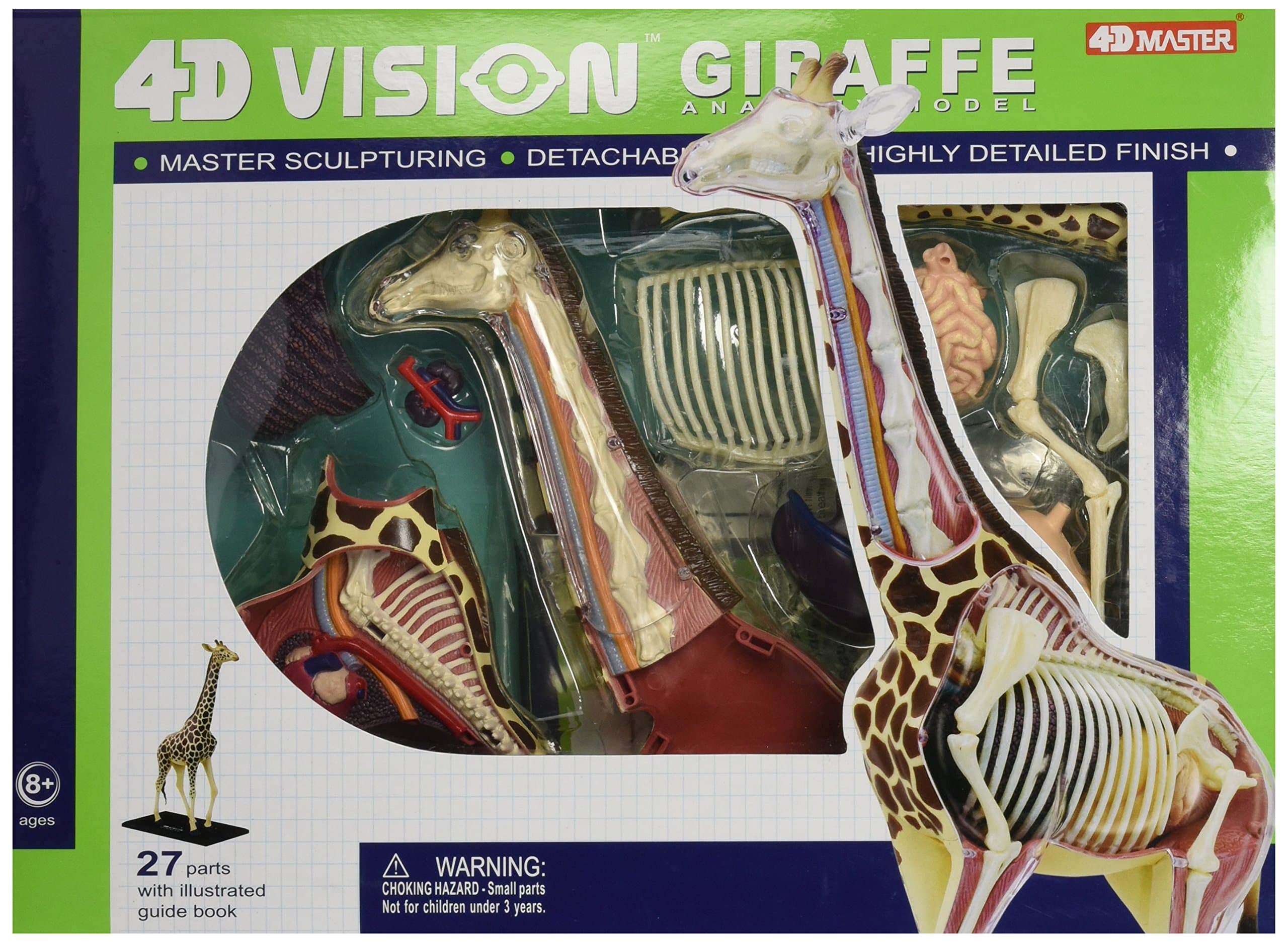 Famemaster 4d Vision Giraffe Anatomy Model