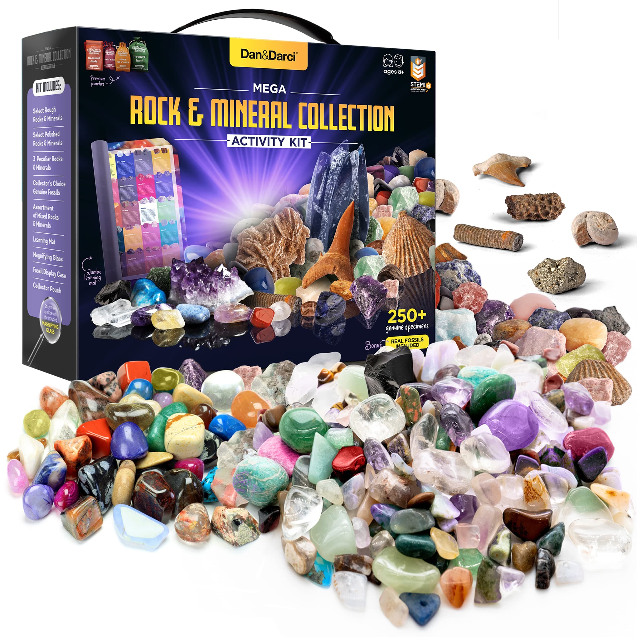 Dan&Darci Rock Collection for Kids - Includes 250+ Bulk Rocks, Gemstones & Crystals + Genuine Fossils and Minerals - 2 Lbs. - Geology Earth Science STEM Toys Activity, Gifts for Boys & Girls Ages 6+