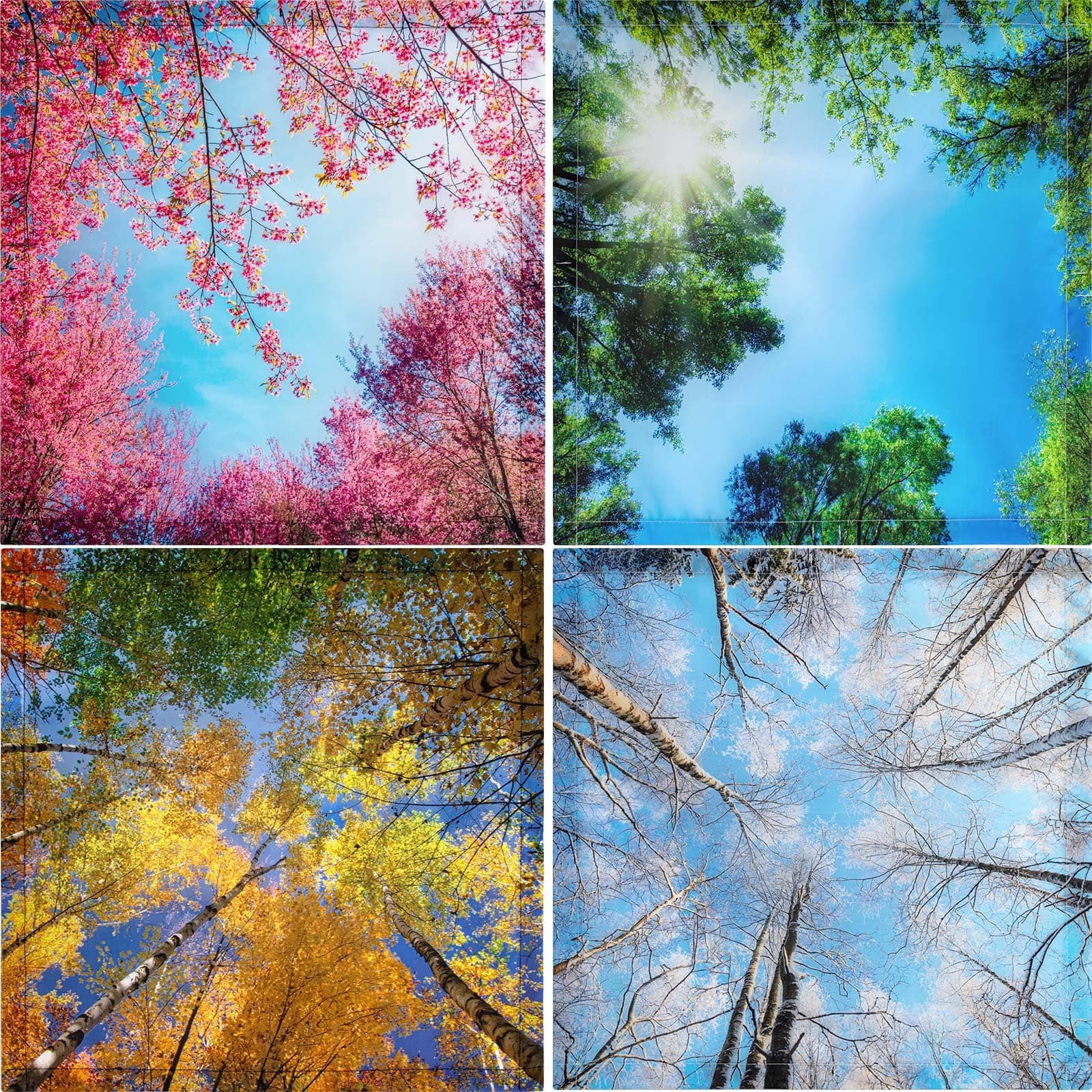 VIHOSE 4 Pcs Magnetic Fluorescent Light Covers for Ceiling Lights 2 x 2 ft Office Classroom Light Covers Fluorescent Light Filters for School Home Hospital Decorations, 4 Styles