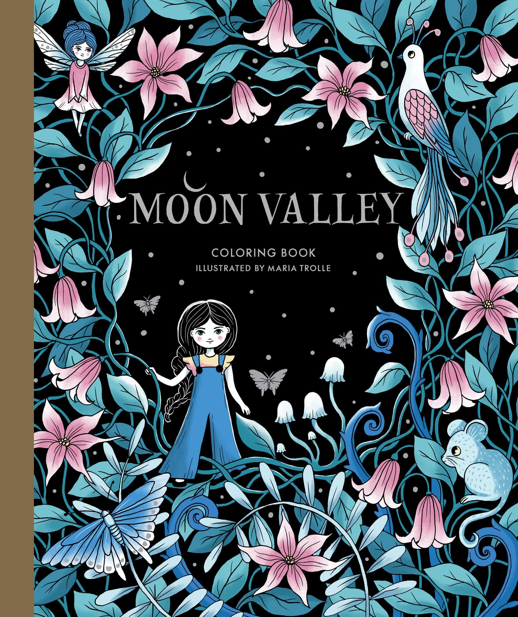 Gibbs Smith Moon Valley Coloring Book