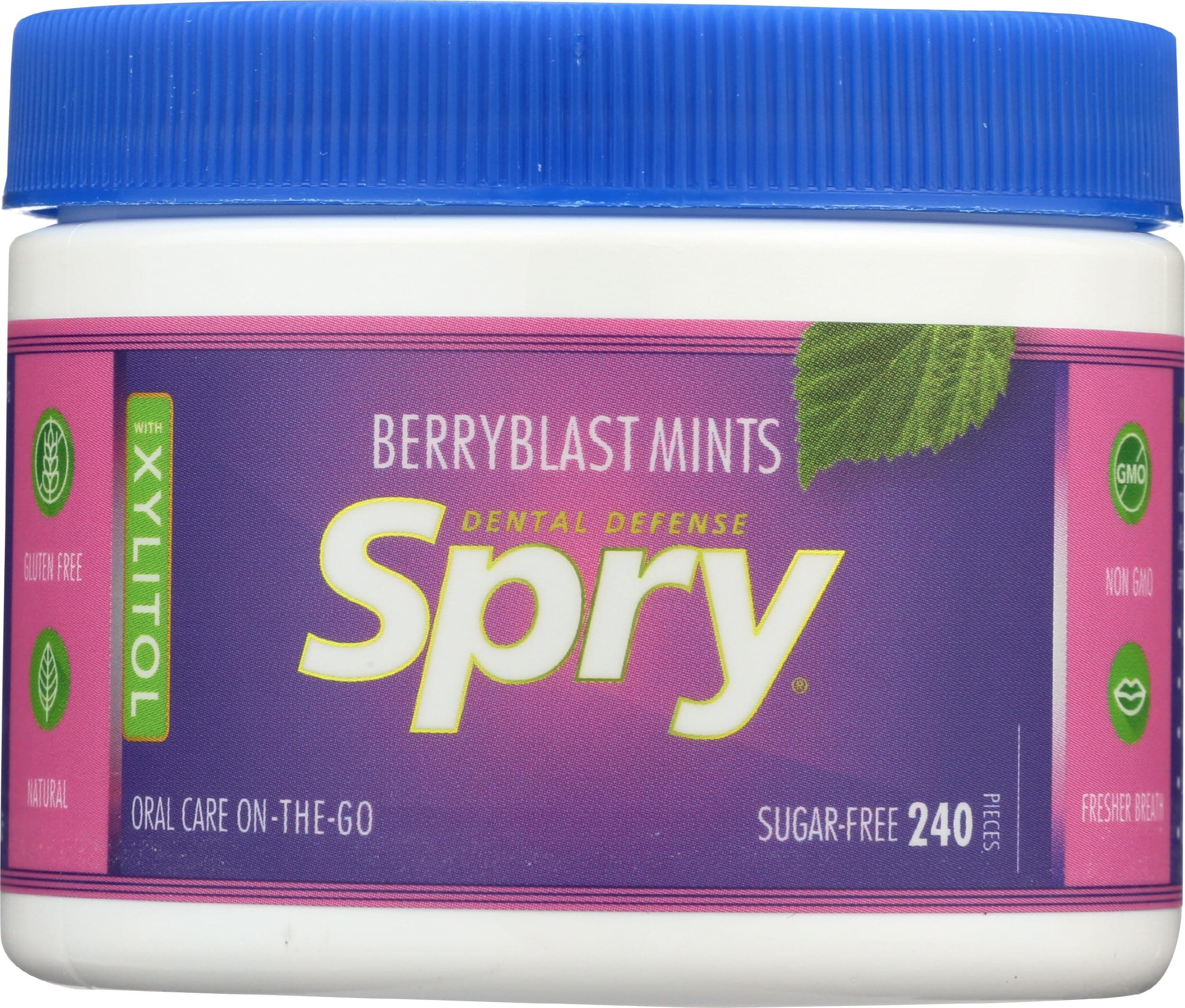 Xylitol Mints, Natural Berry Blast, 240ct