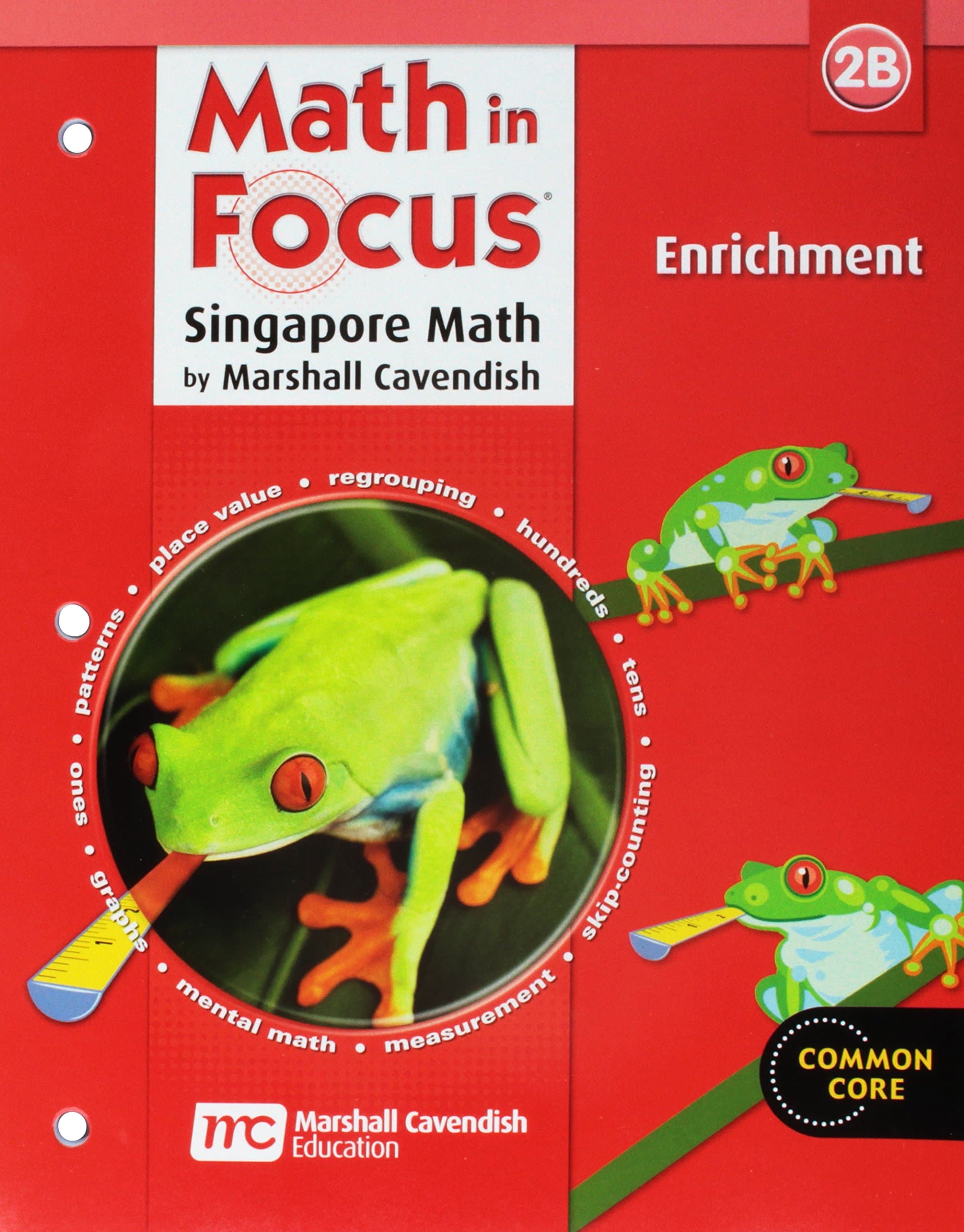 Enrichment Workbook Grade 2: Book B (Math in Focus: Singapore Math)